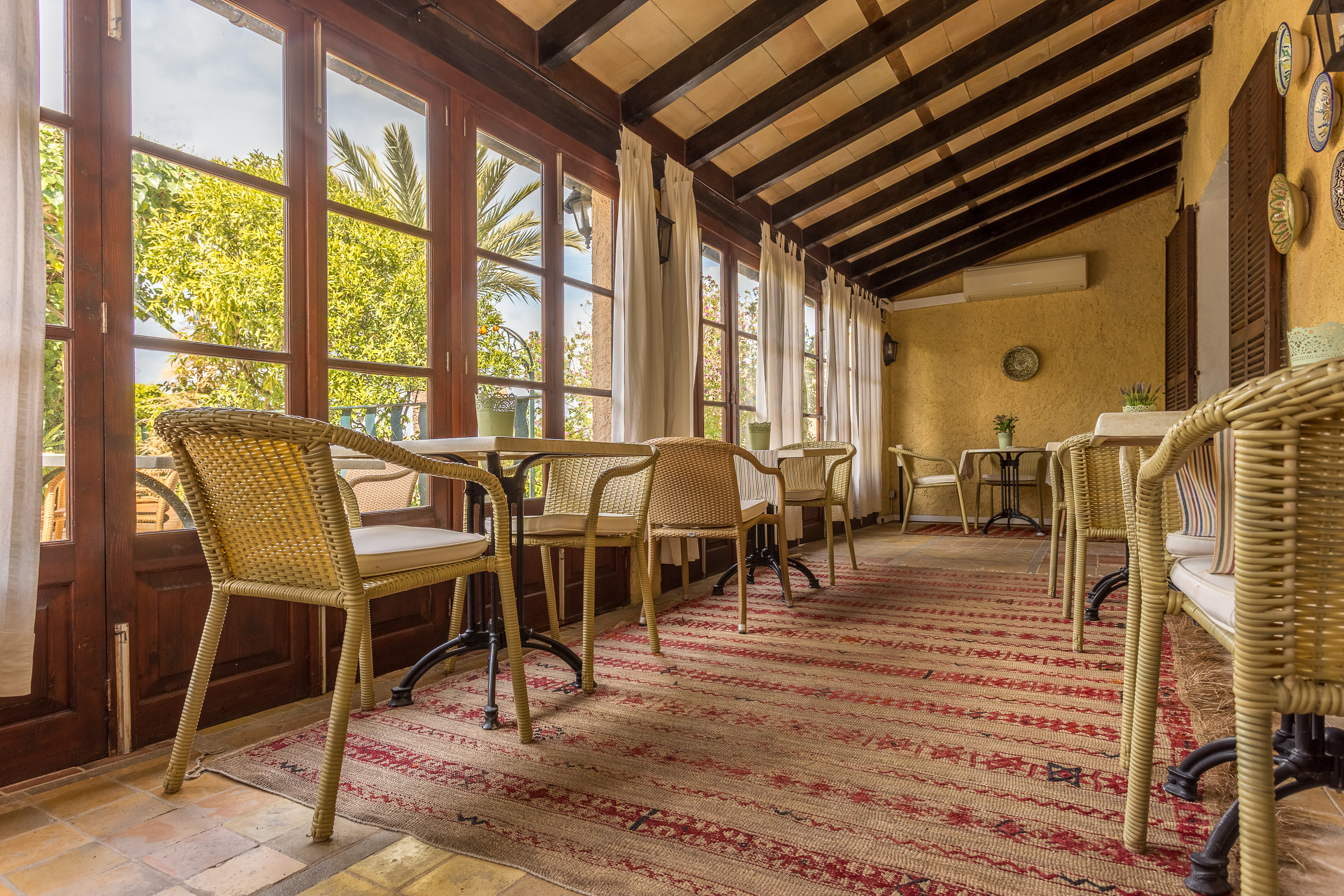 Leon de Sineu by null