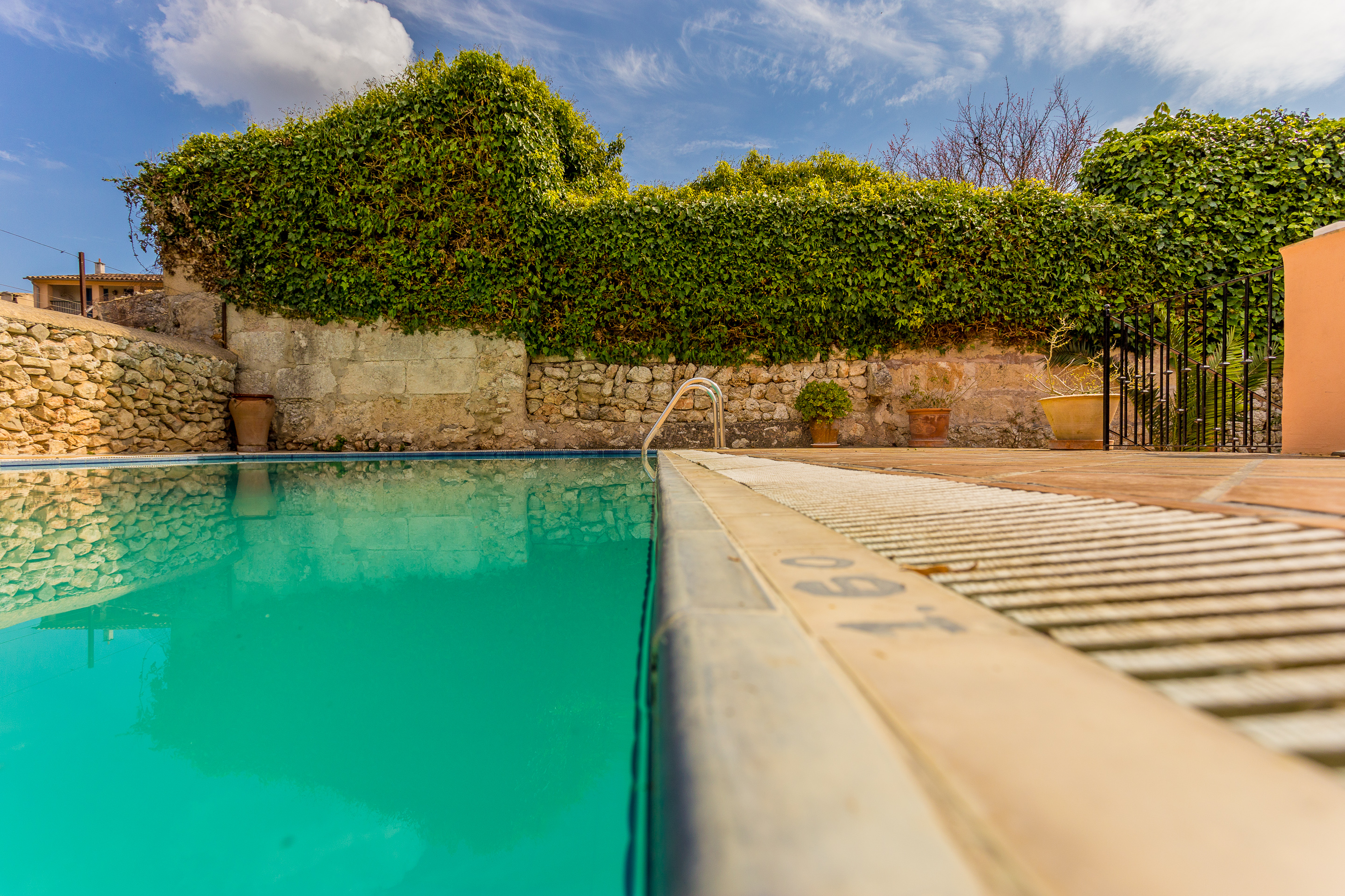 Leon de Sineu by null