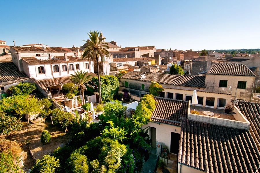 Leon de Sineu by null