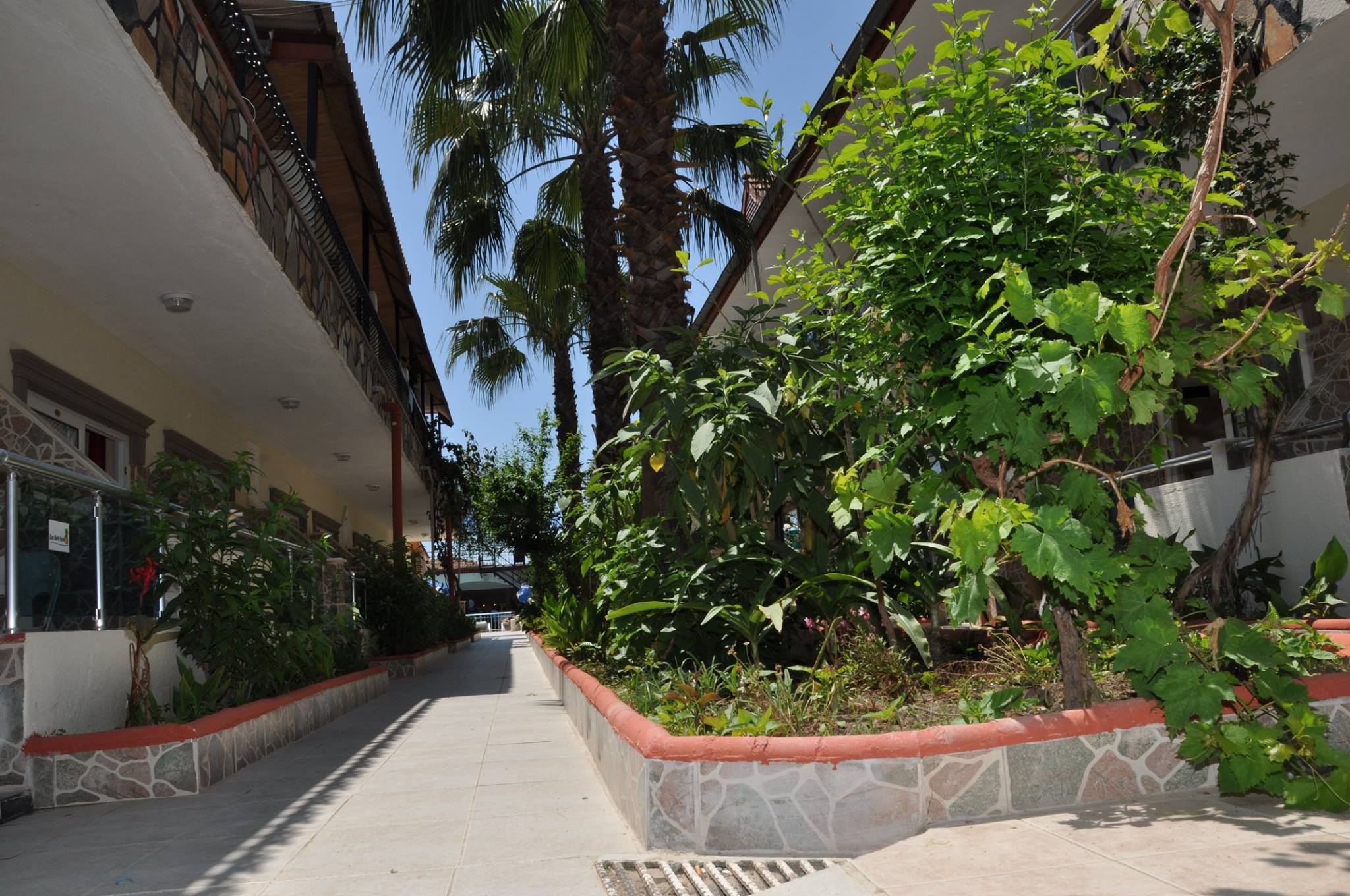 Side Sunberk Hotel - фото