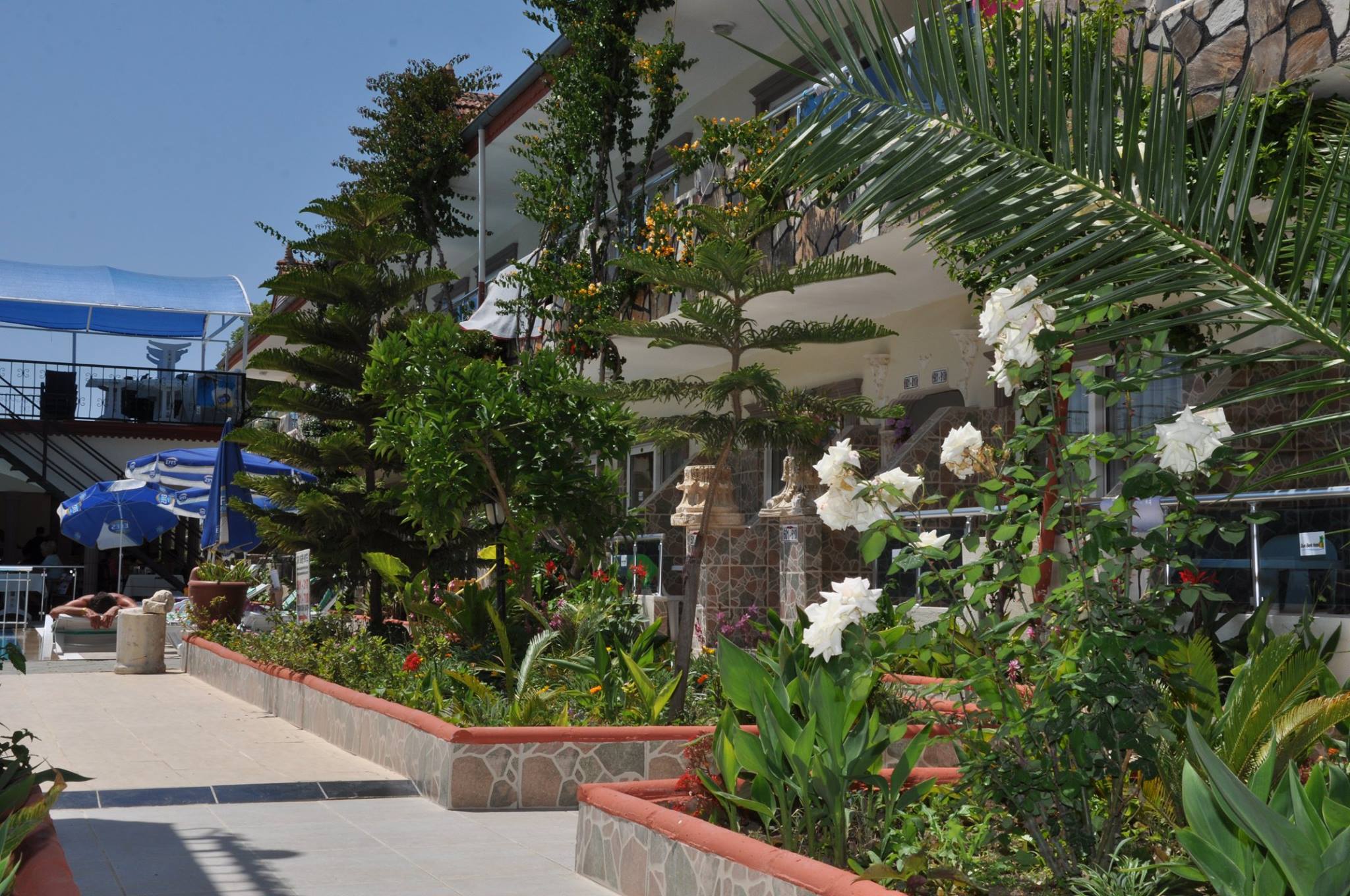 Side Sunberk Hotel - фото