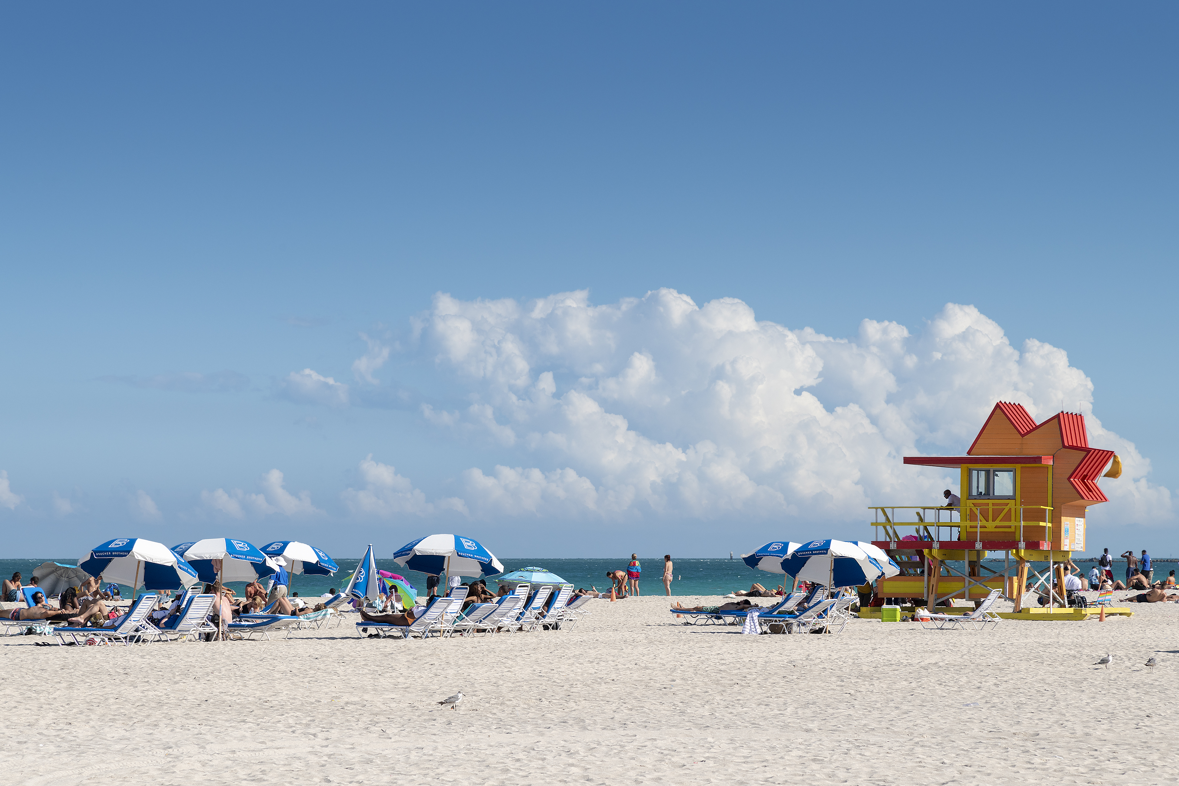 President Hotel South Beach by null
