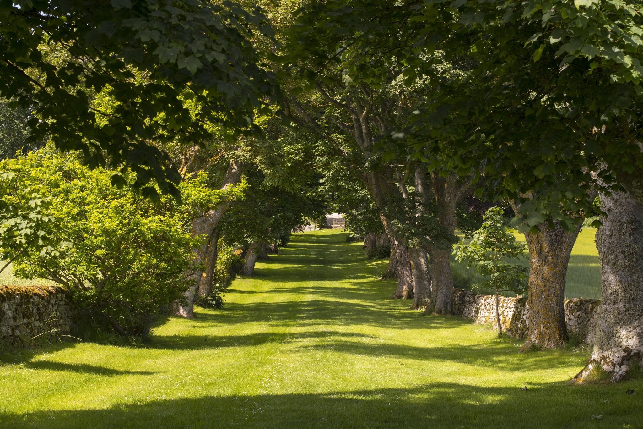 Glenmorangie House by null