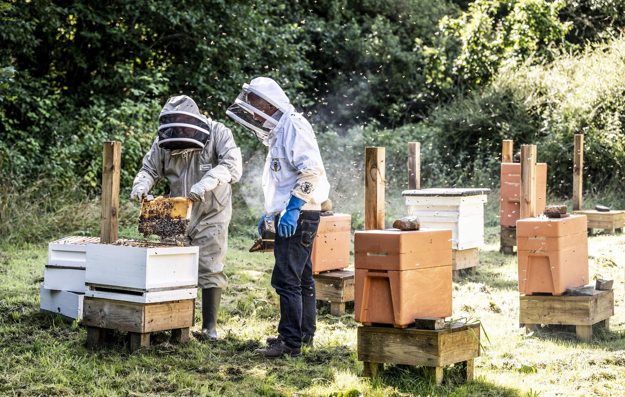 Glenmorangie House by null