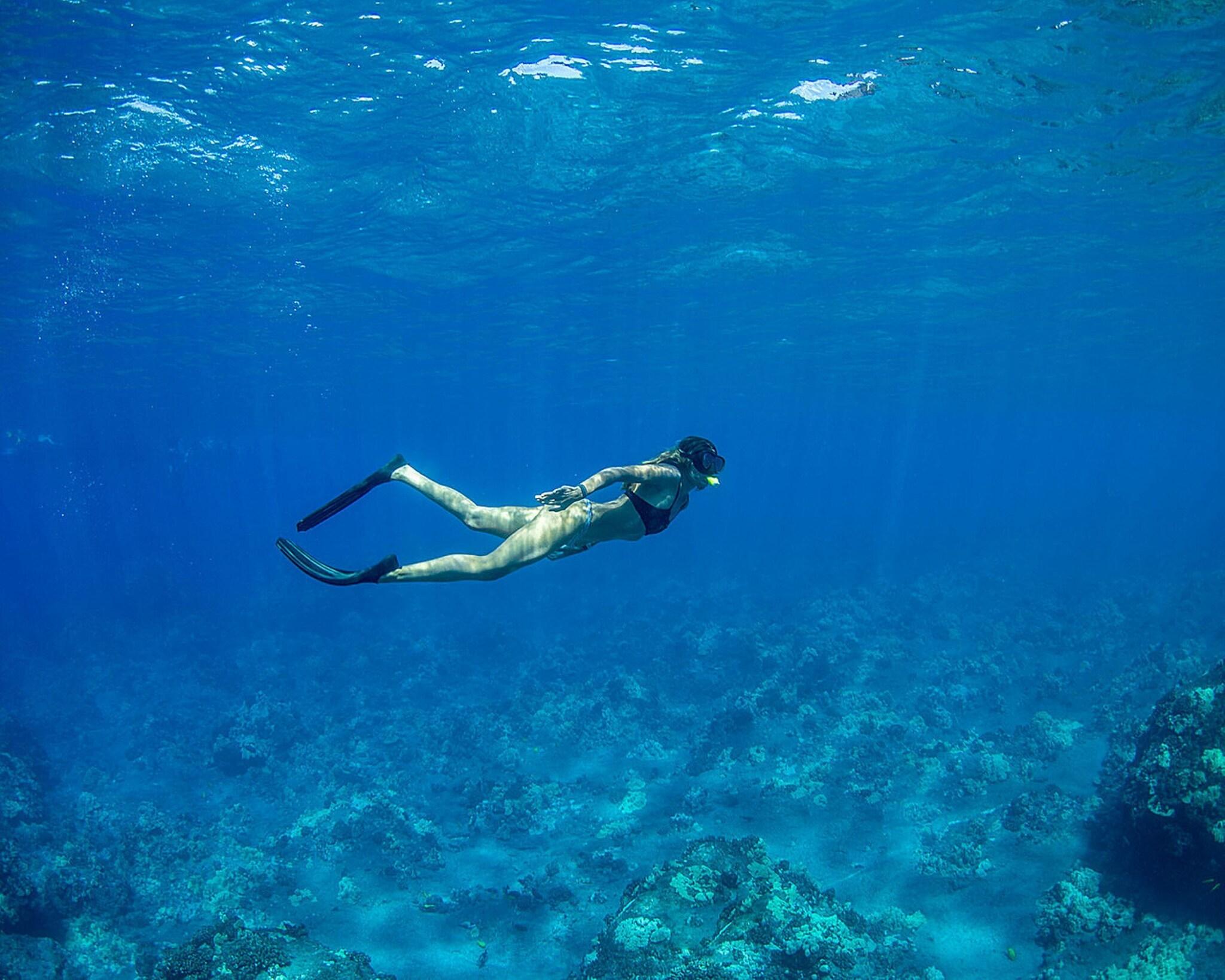 Four Seasons Resort Lanai by null