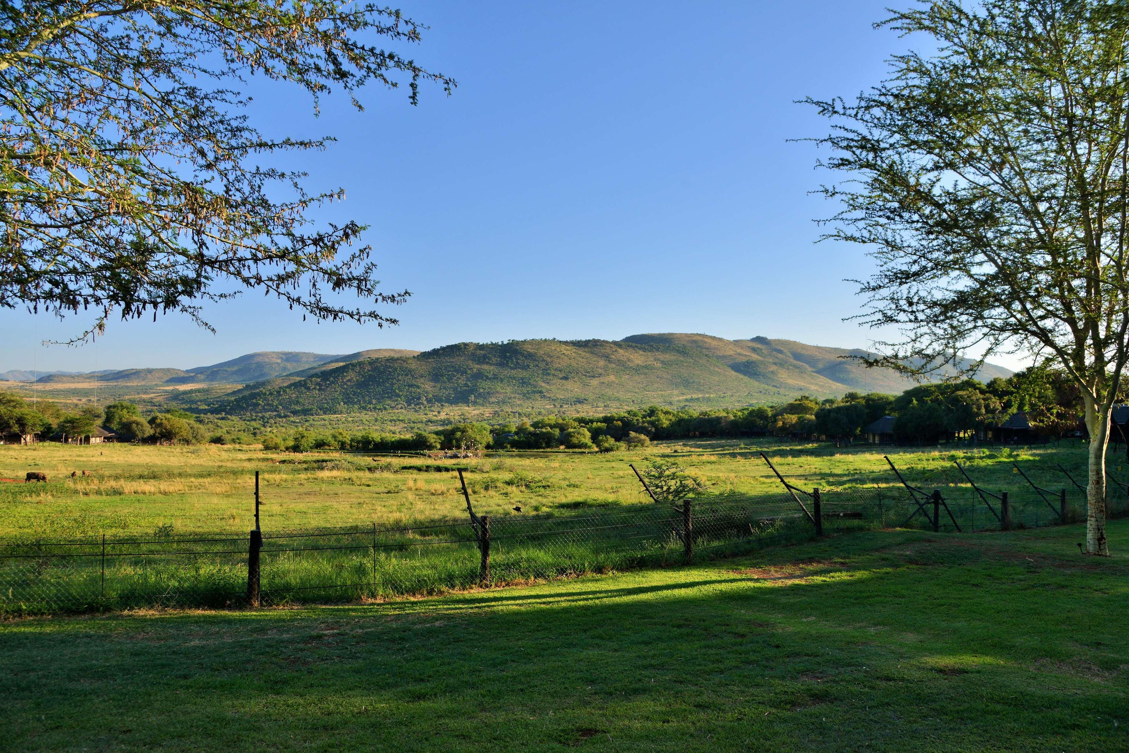 Bakubung Bush Lodge