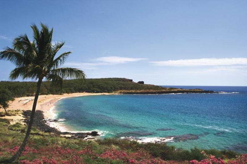 Hotel Lānaʻi by null