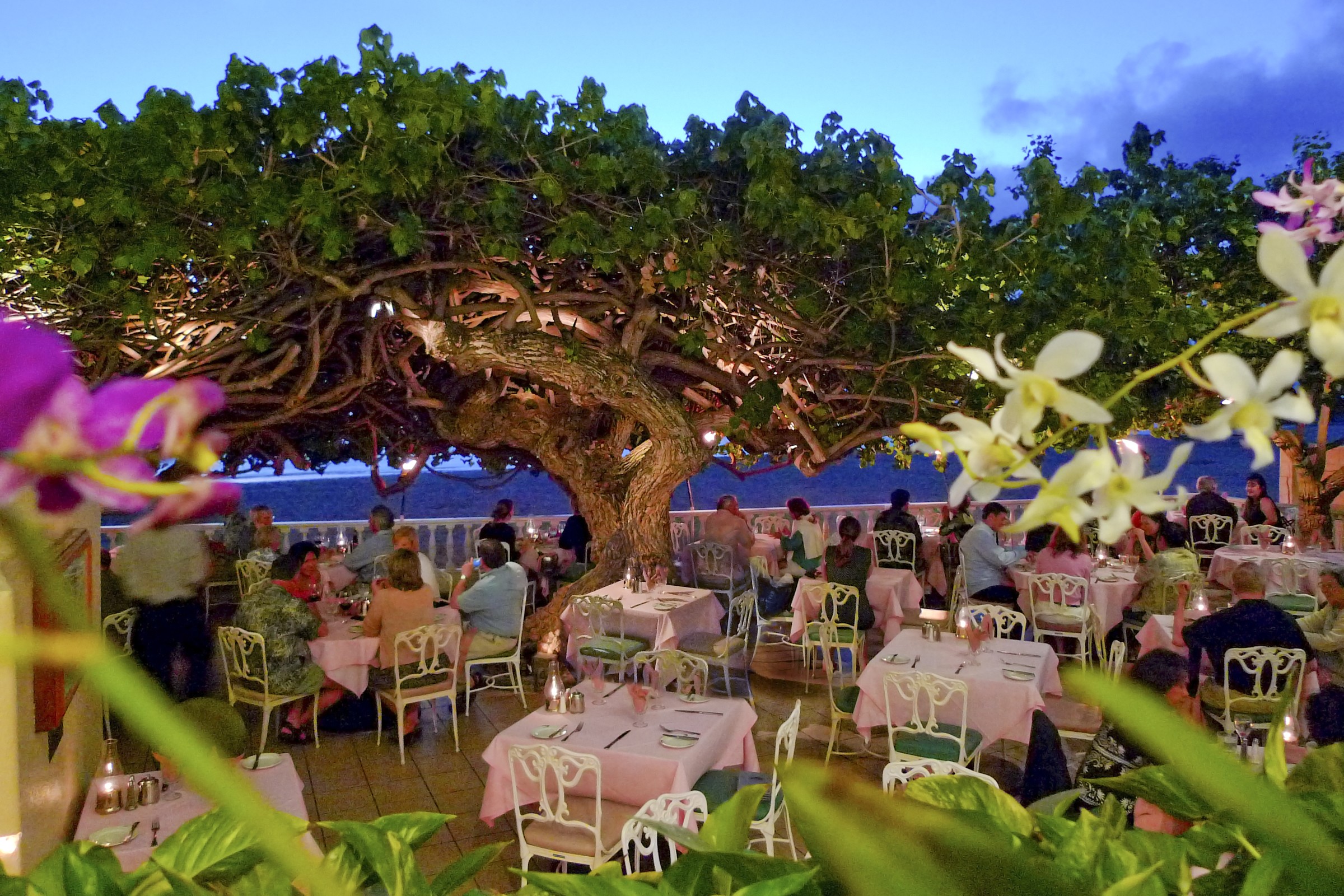 Kaimana Beach Hotel by null