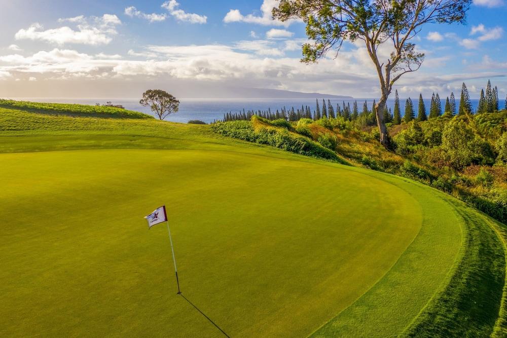 The Ritz-Carlton Maui, Kapalua by null