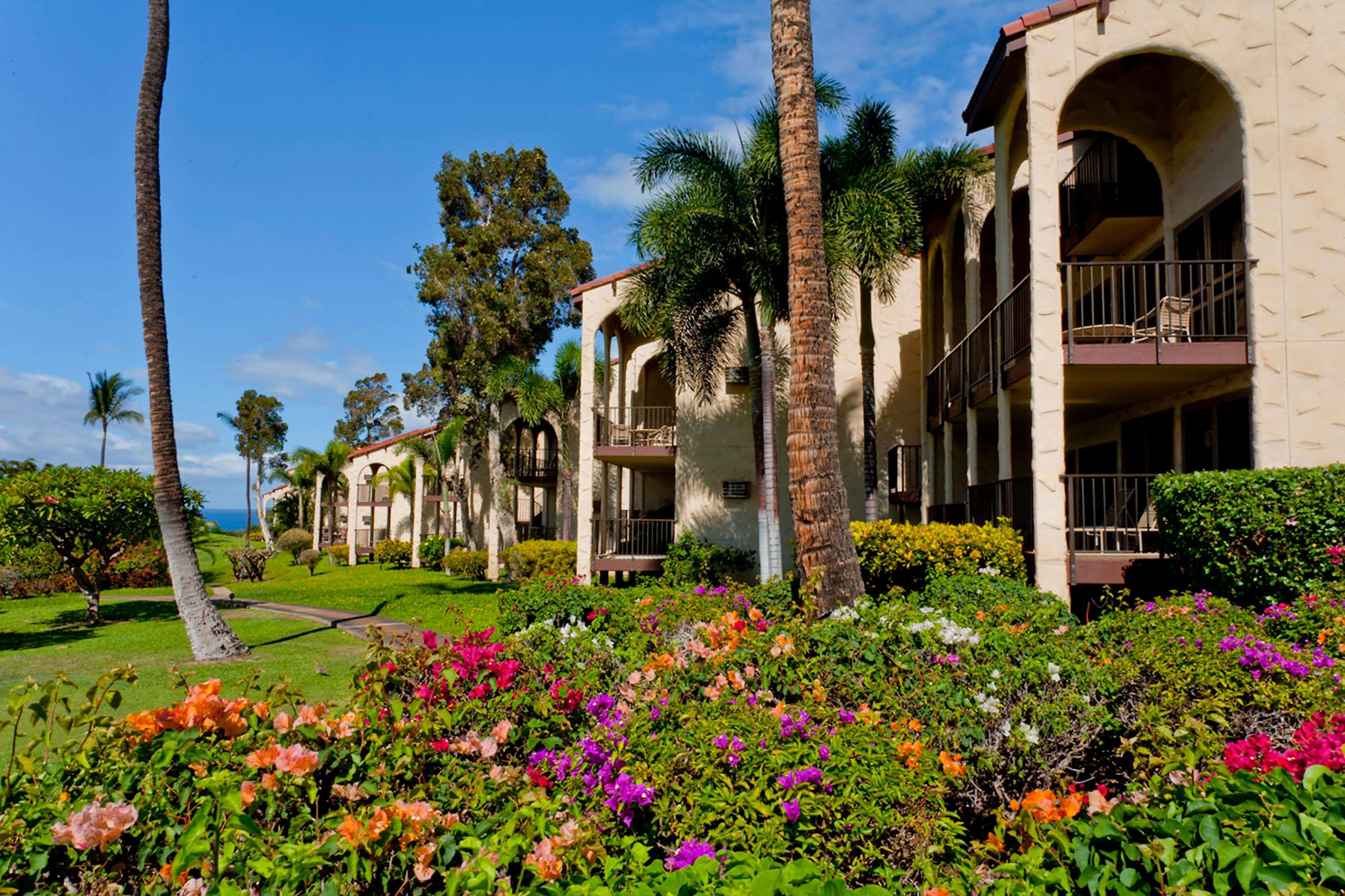 Aston Maui Hill Resort by null