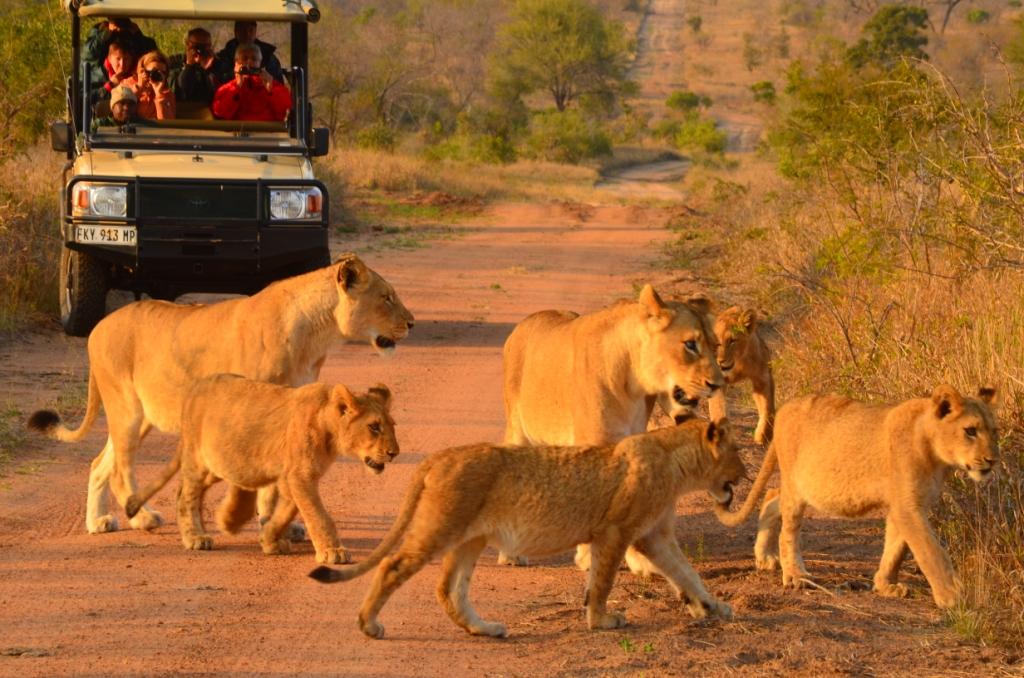 Hoyo Hoyo Safari Lodge by null