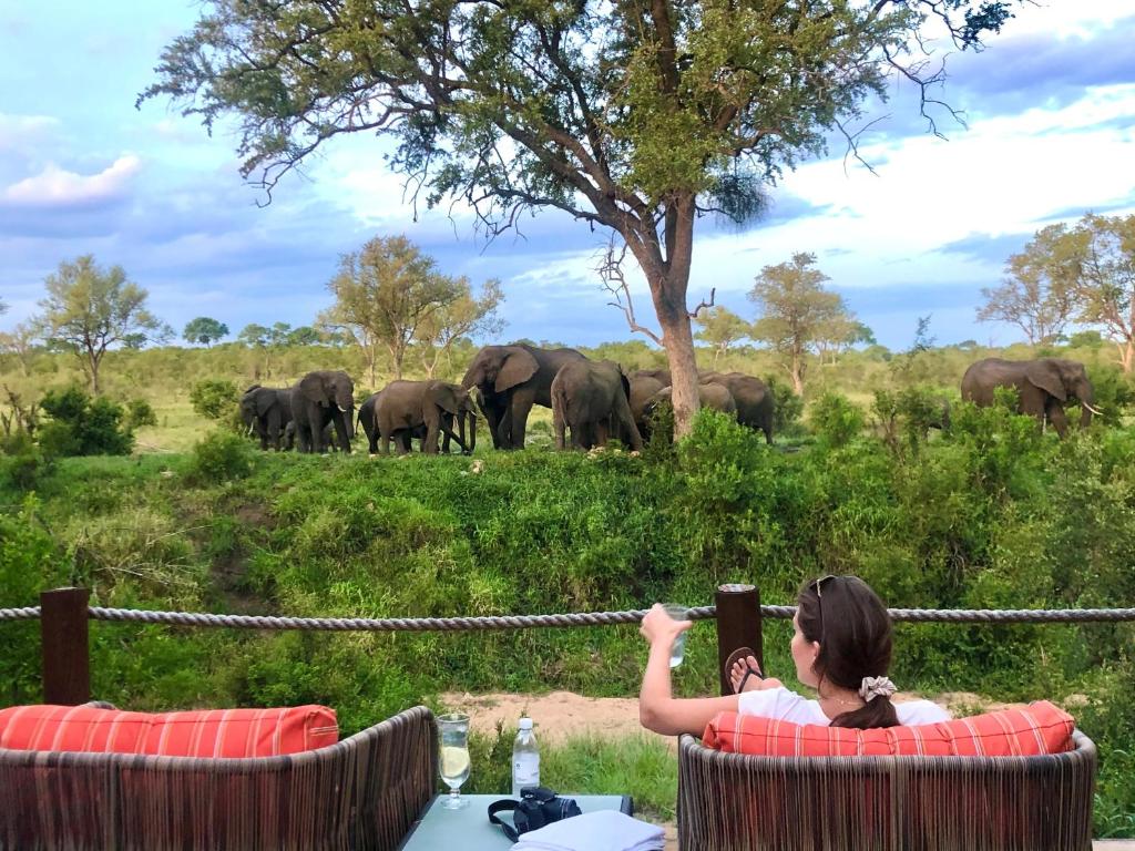 Hoyo Hoyo Safari Lodge by null