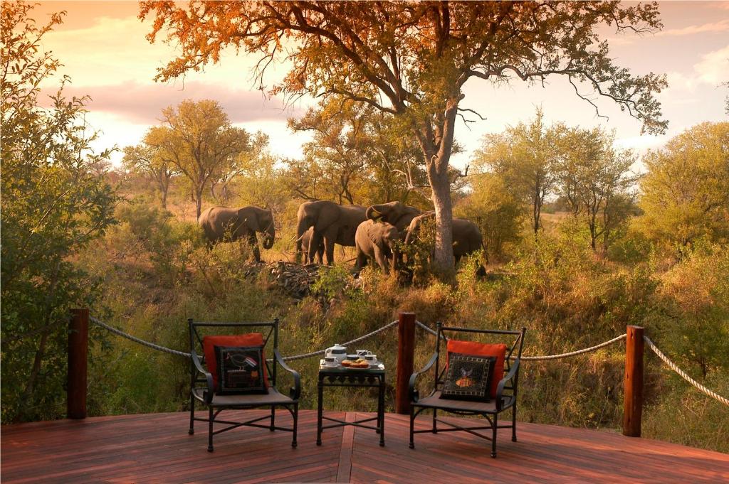 Hoyo Hoyo Safari Lodge by null