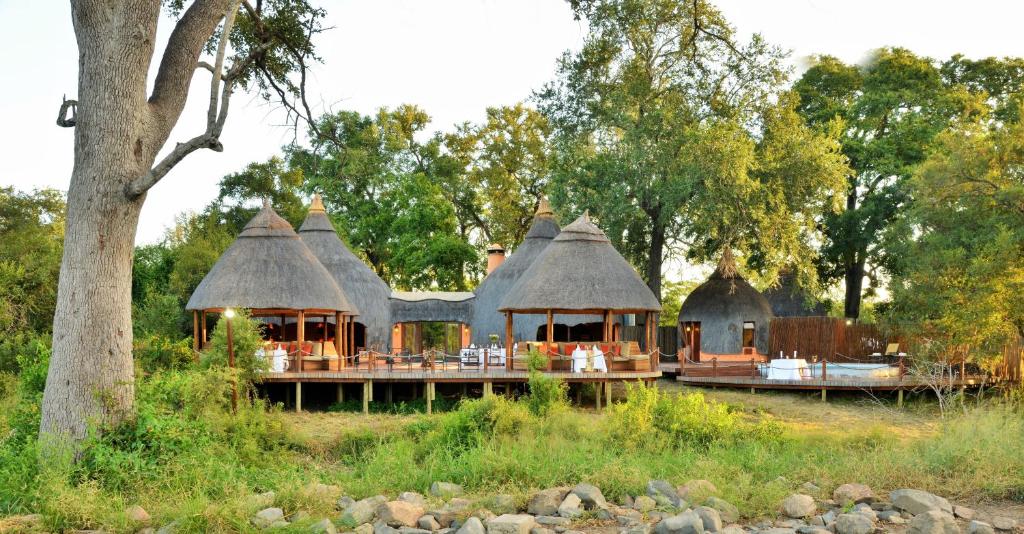 Hoyo Hoyo Safari Lodge by null