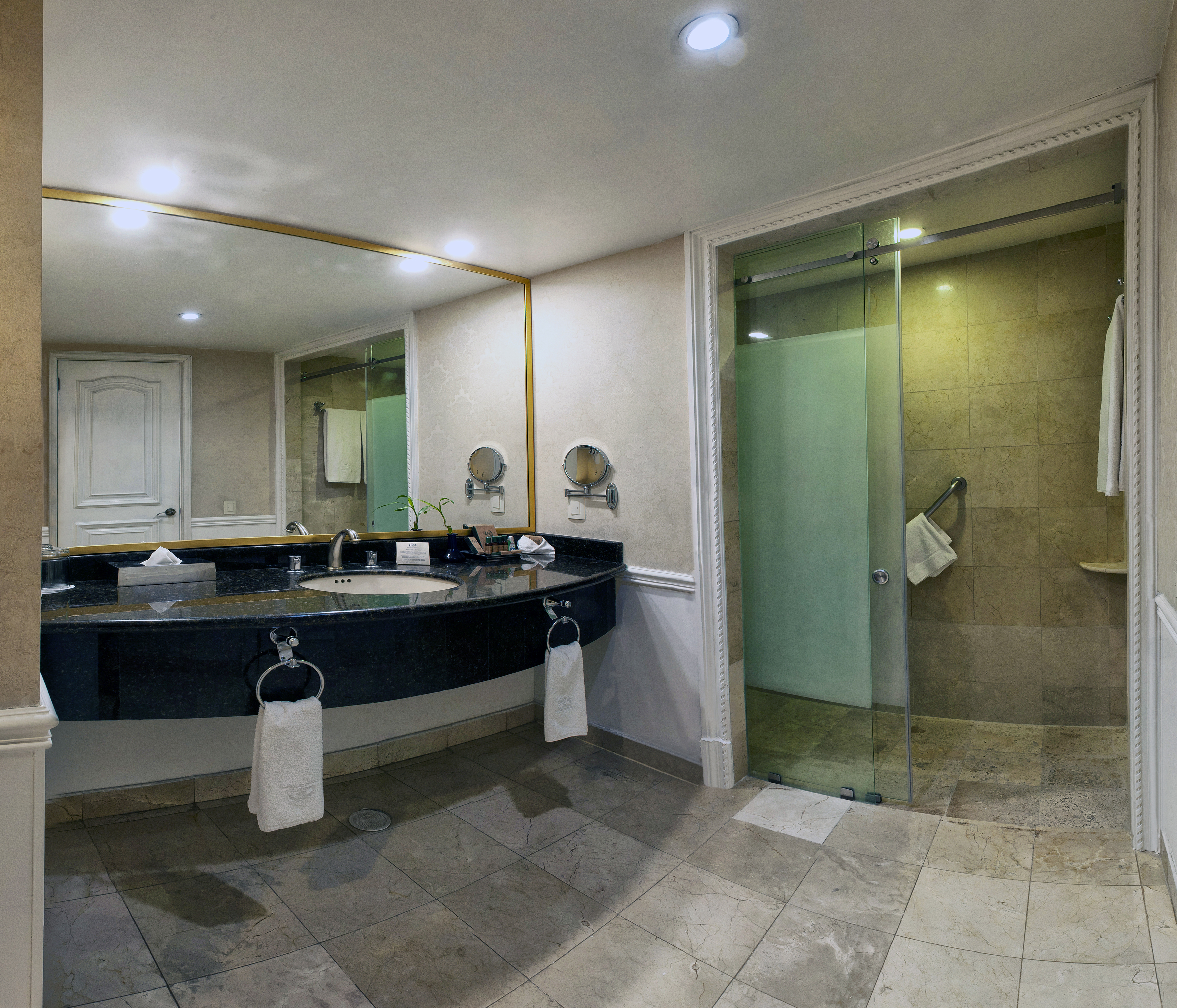 Gran Hotel Ciudad de México by null