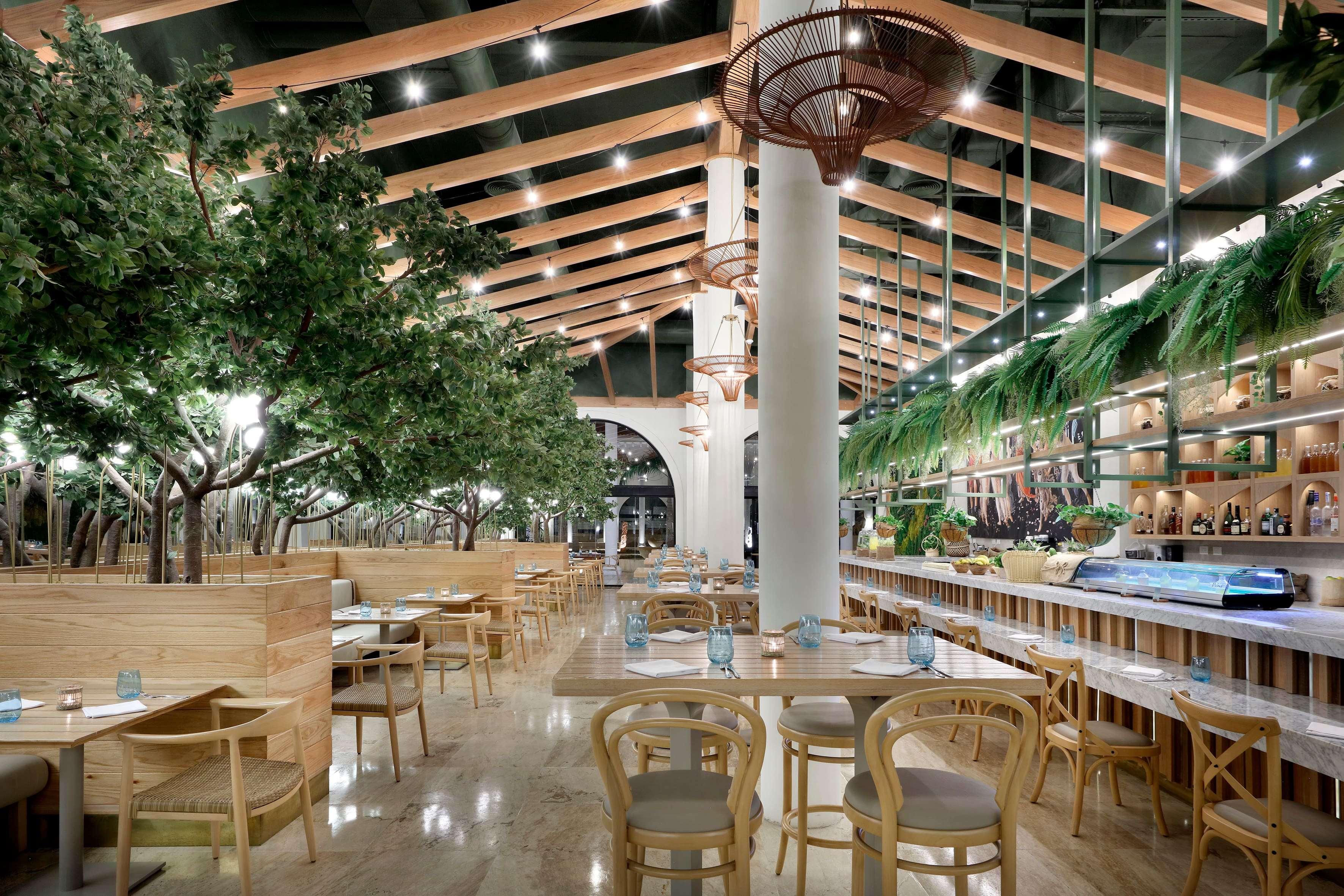 Paradisus Palma Real Golf & Spa Resort by null