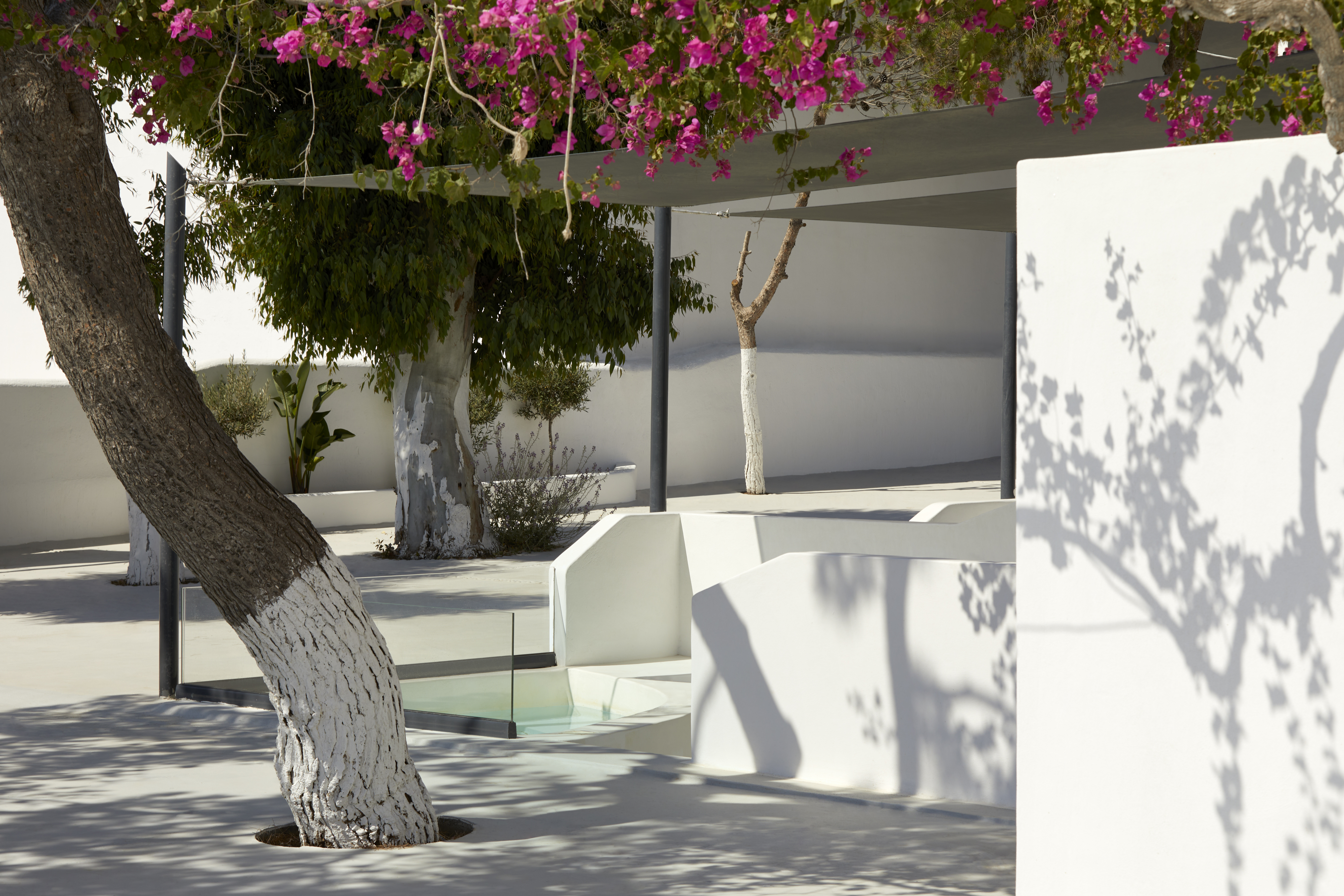 Kalisti Hotel & Suites - nuotrauka