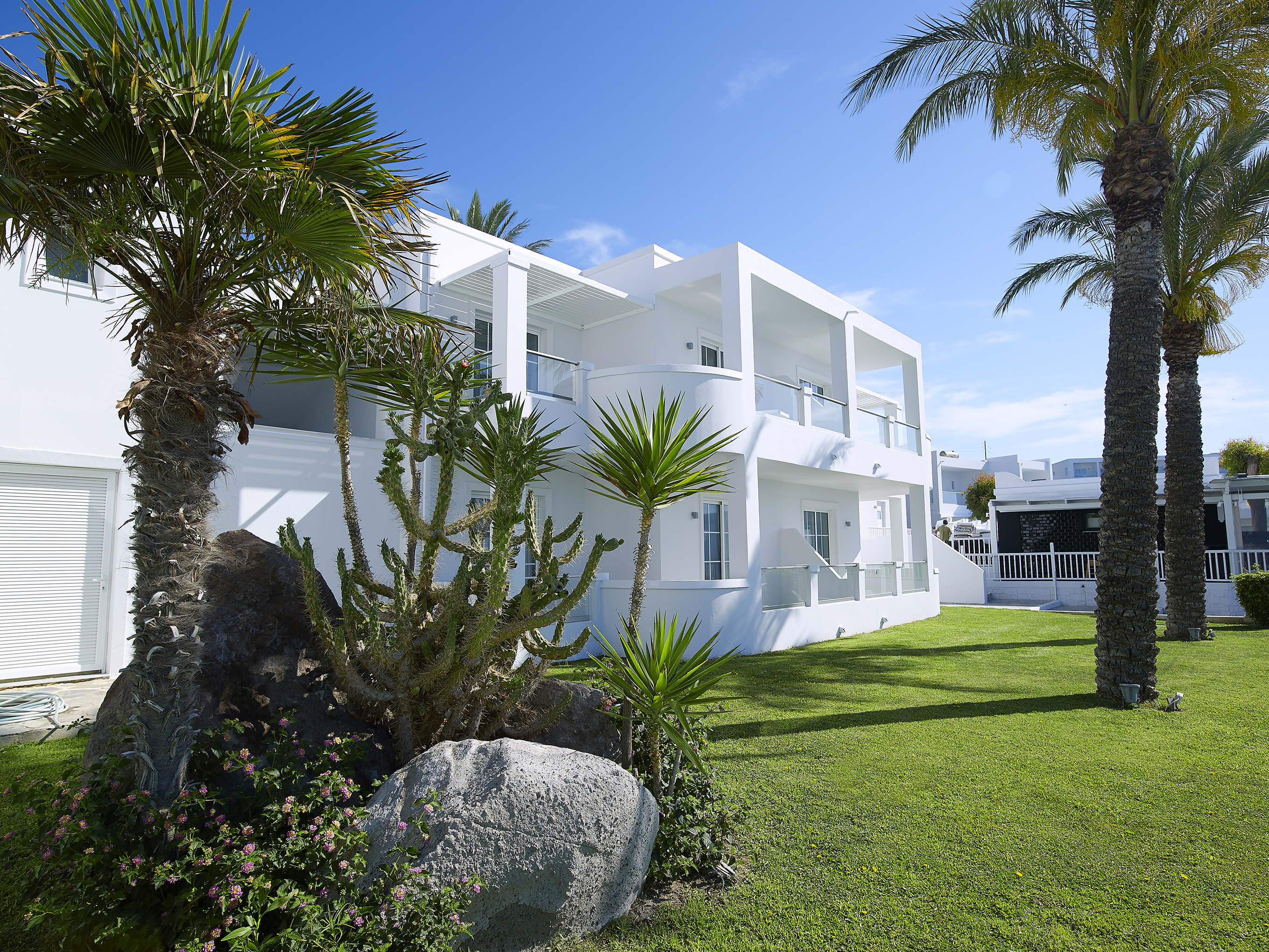 Dimitra Beach Hotel & Suites - Poză