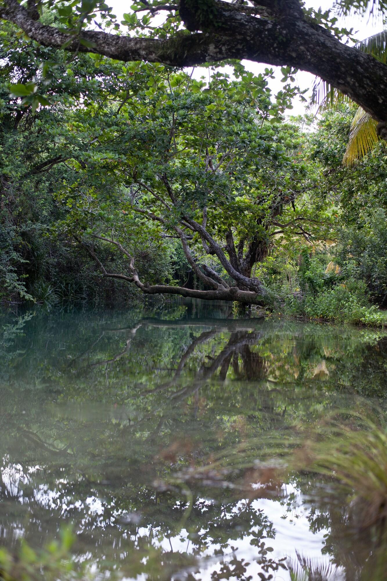 Frenchman's Cove Resort by null