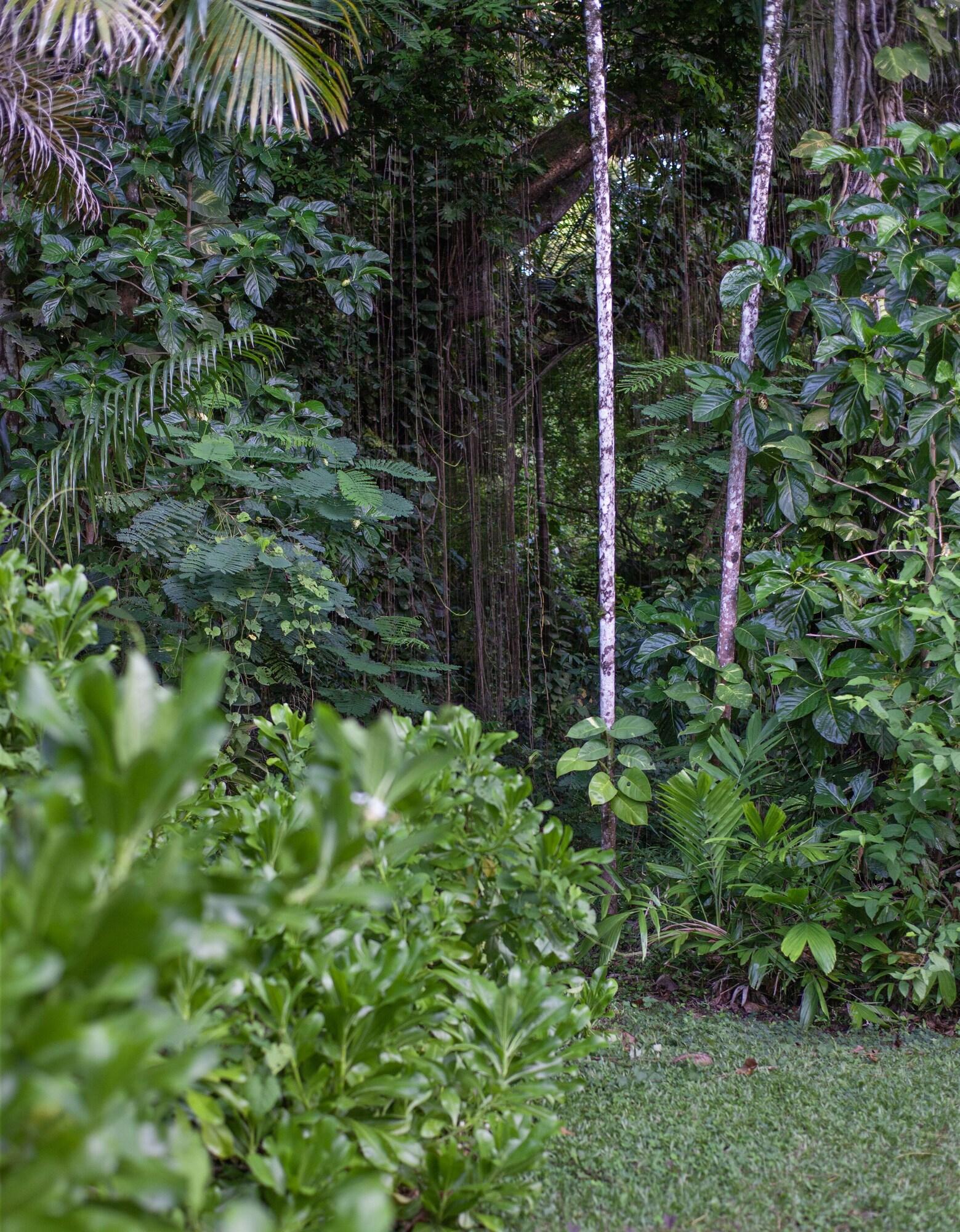 Frenchman's Cove Resort by null