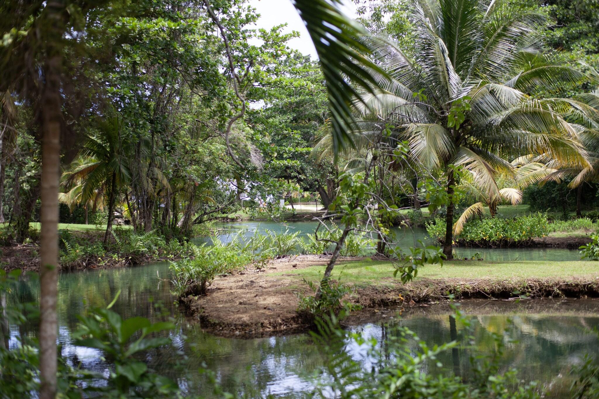 Frenchman's Cove Resort by null