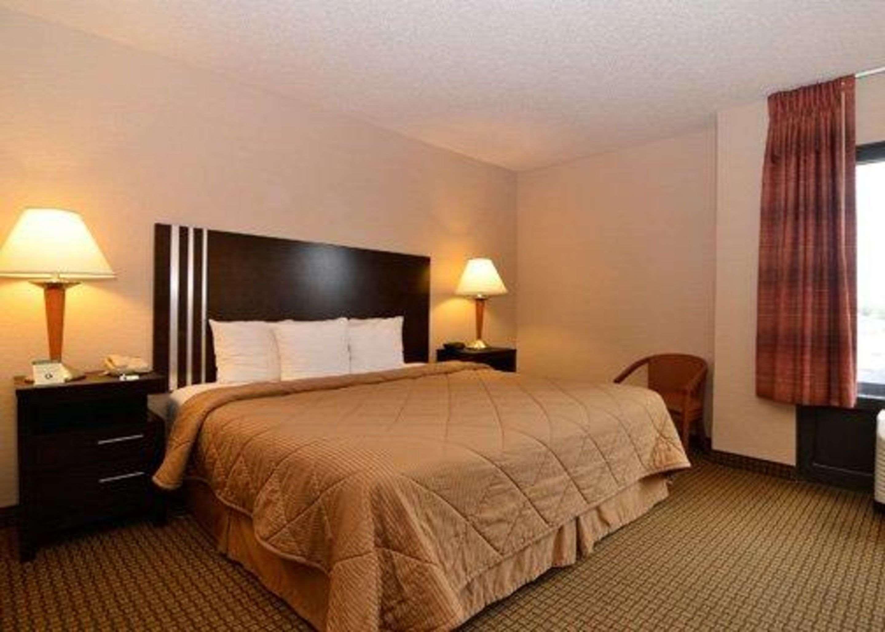 Suite, business