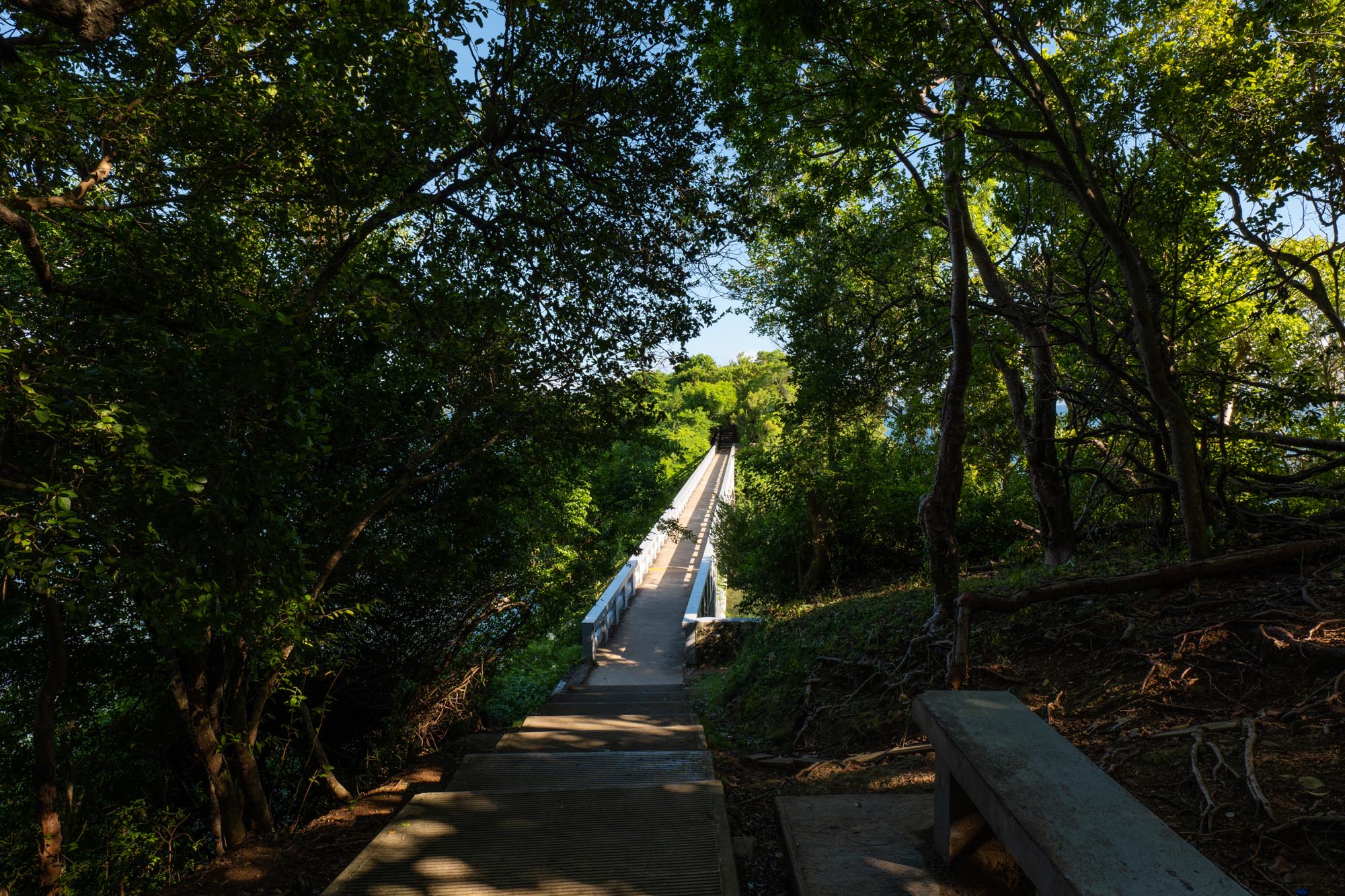 Eurostars Grand Cayacoa - photo