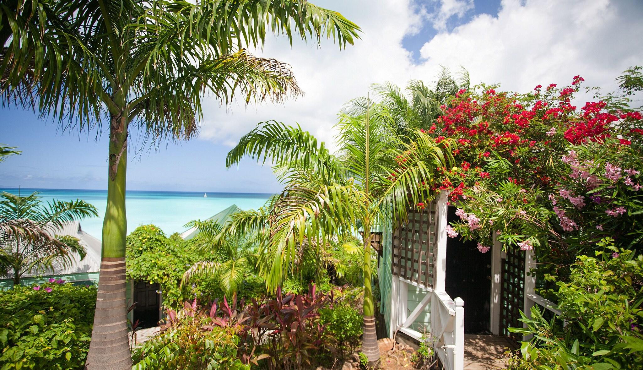 COCOS Hotel (Antigua) by null