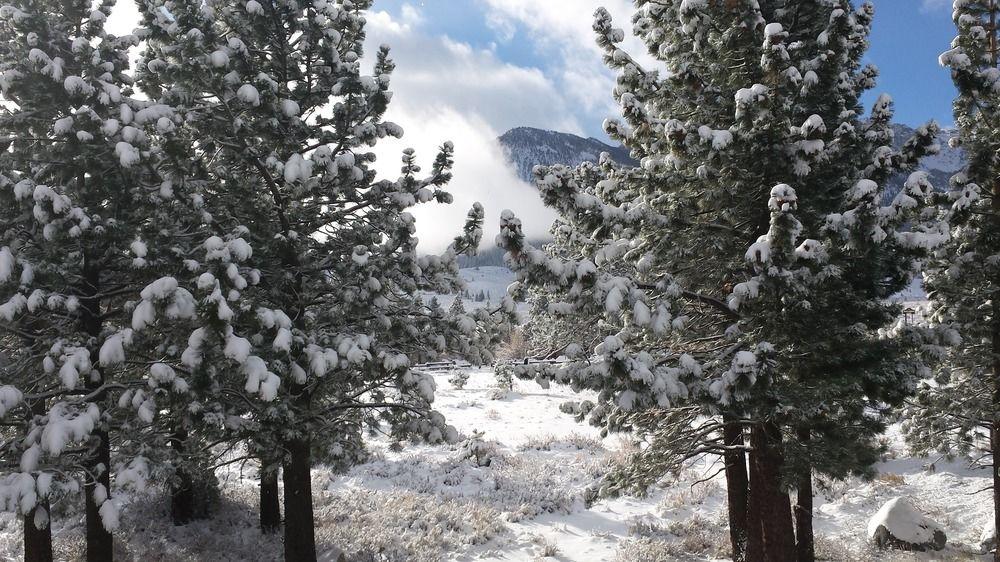 The Mammoth Creek Inn by null