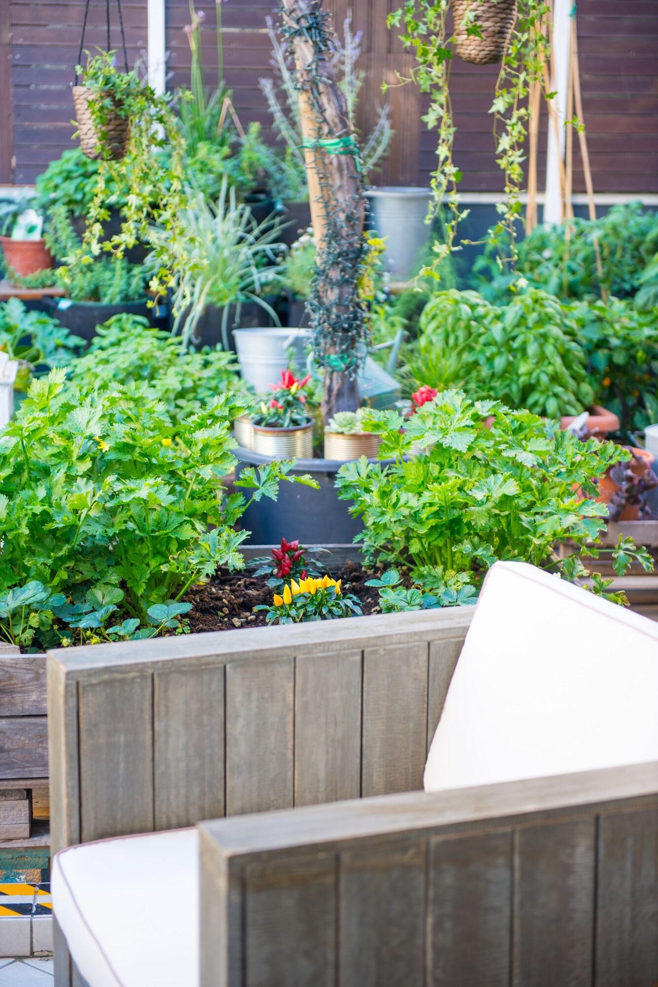 Clarion Hotel Admiral Palace - photo