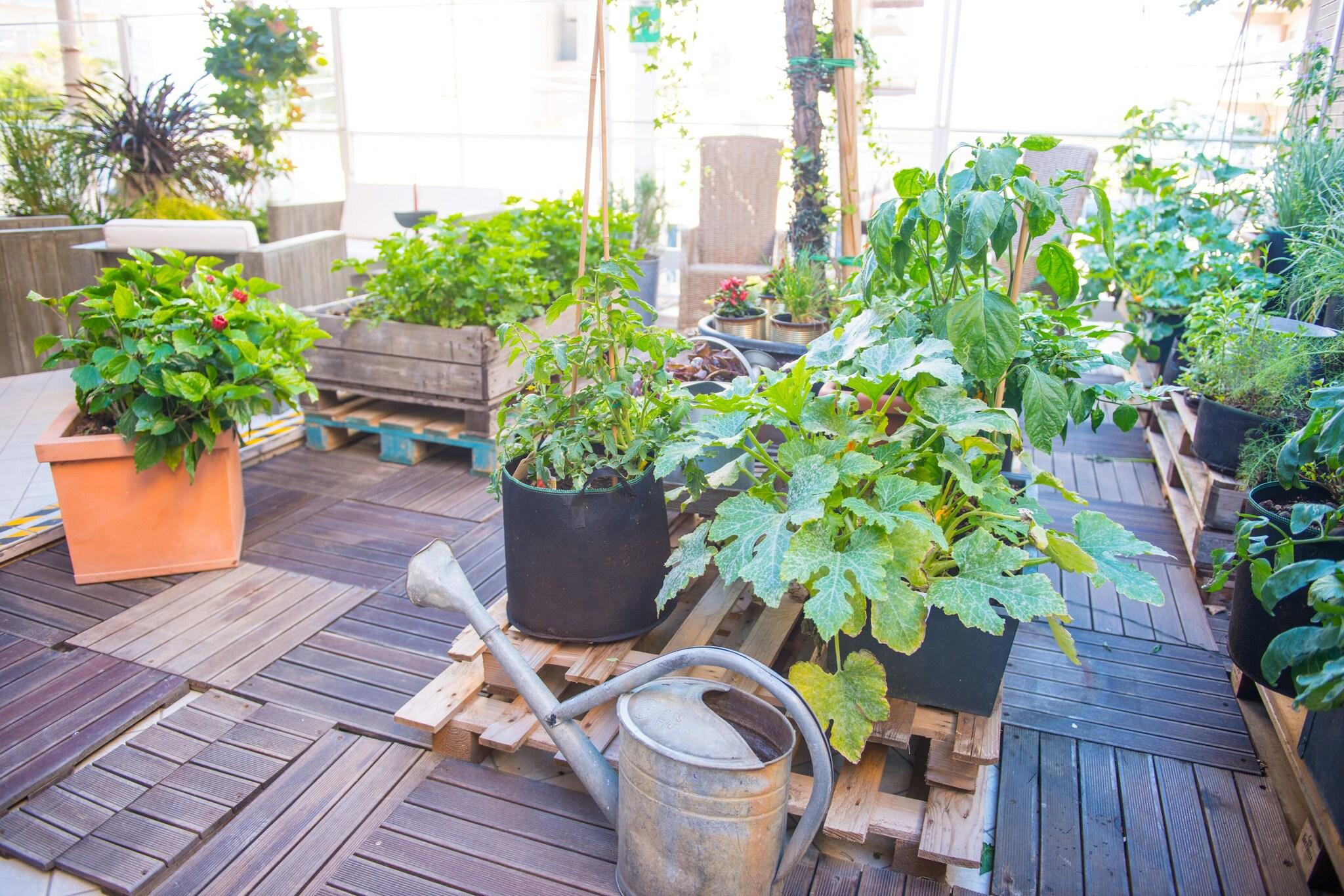 Clarion Hotel Admiral Palace - photo