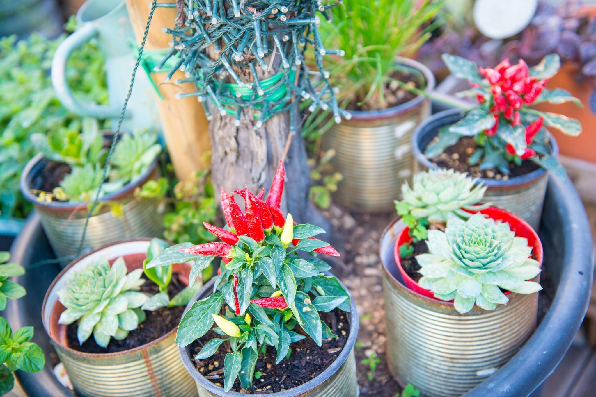 Clarion Hotel Admiral Palace - photo