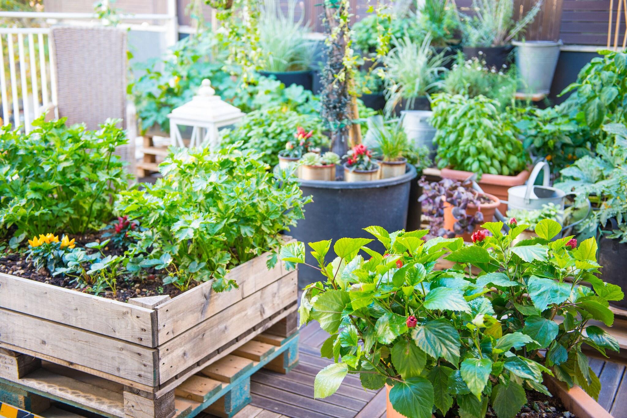 Clarion Hotel Admiral Palace - photo