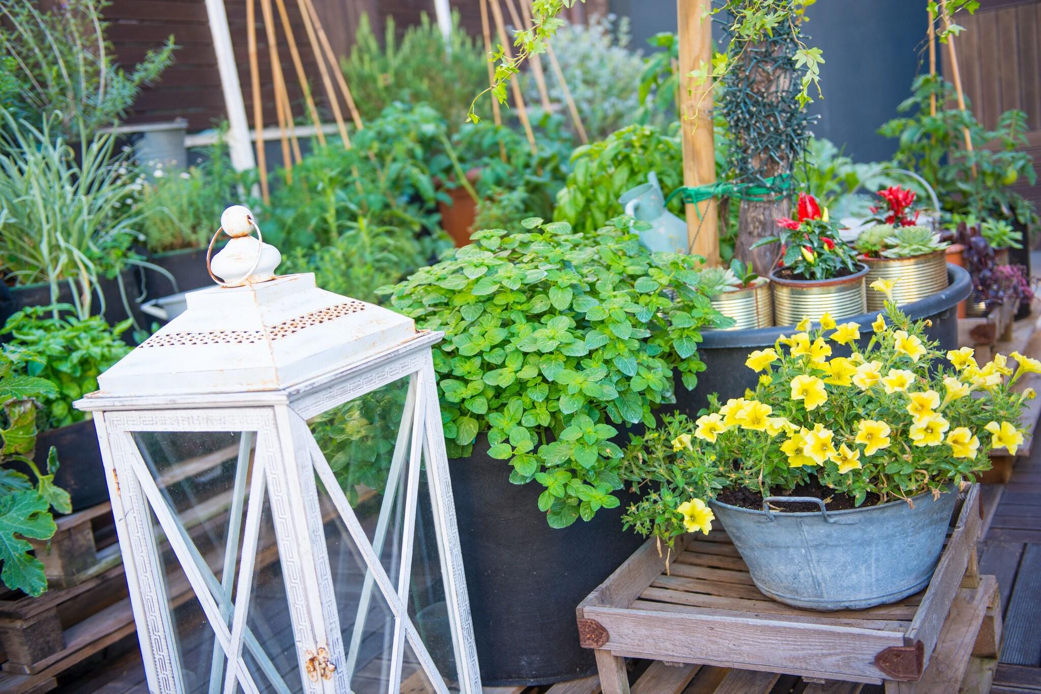 Clarion Hotel Admiral Palace - photo