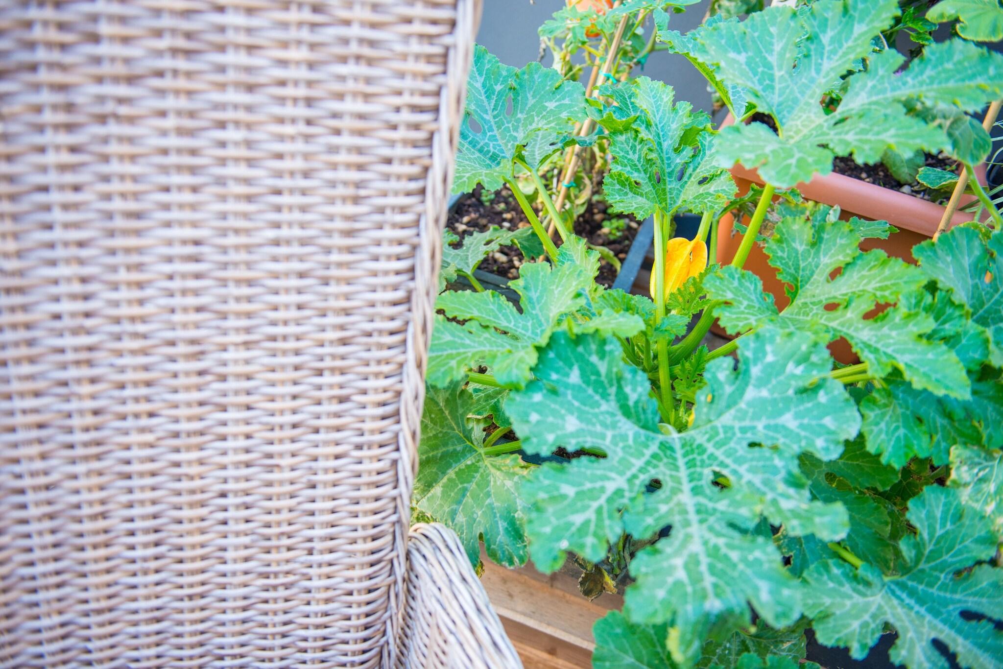 Clarion Hotel Admiral Palace - photo