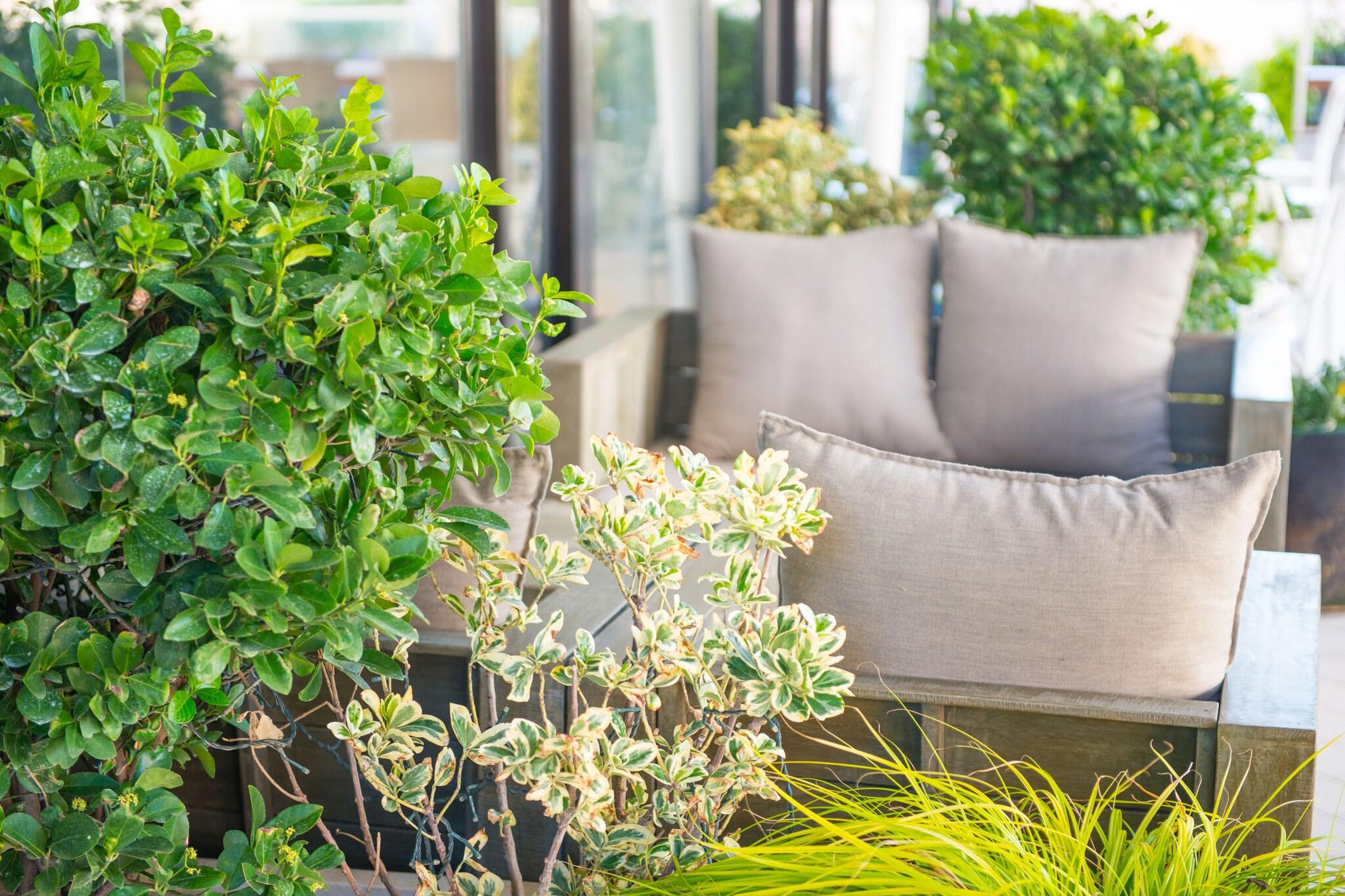 Clarion Hotel Admiral Palace - photo