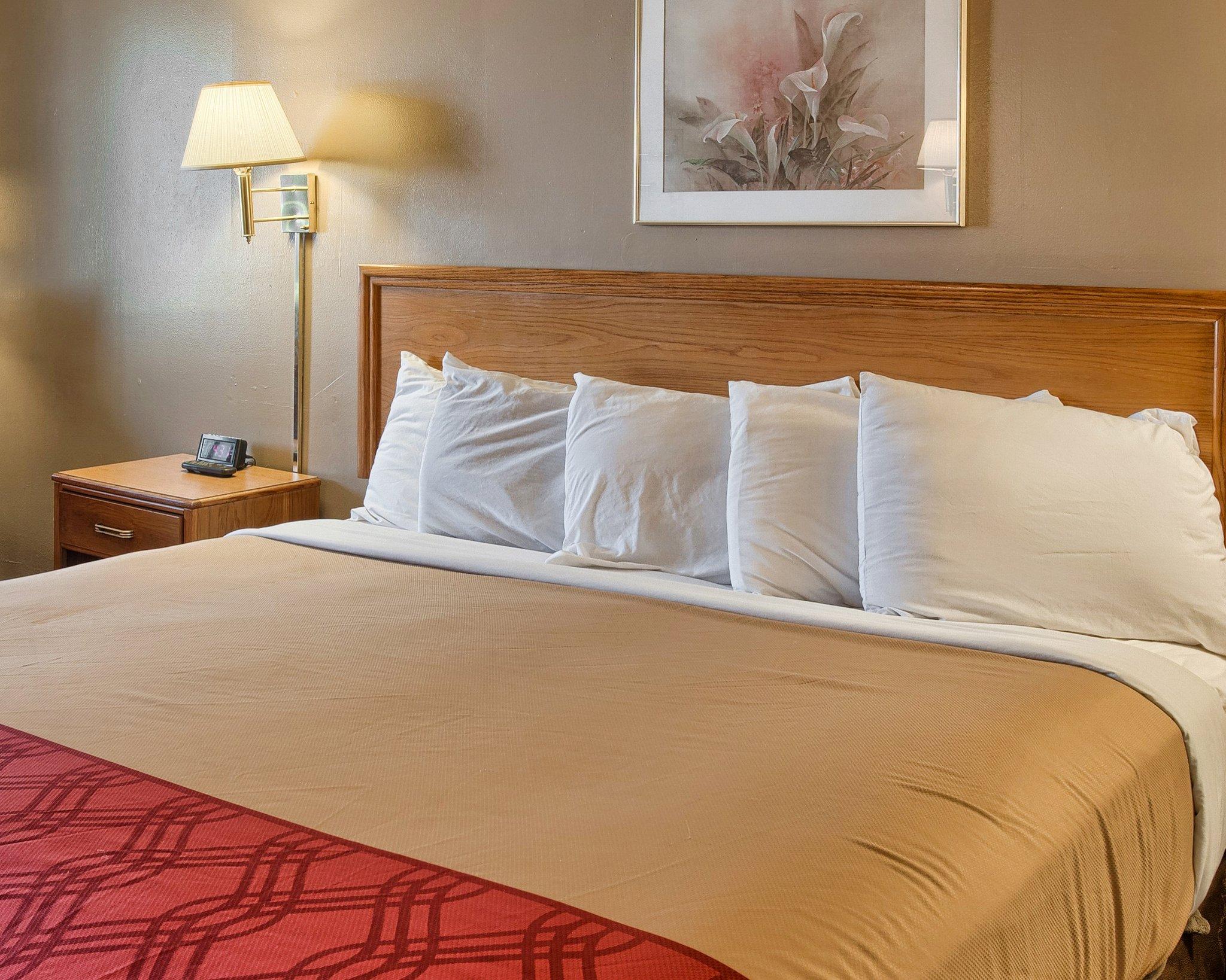 Rodeway Inn North Chesterfield