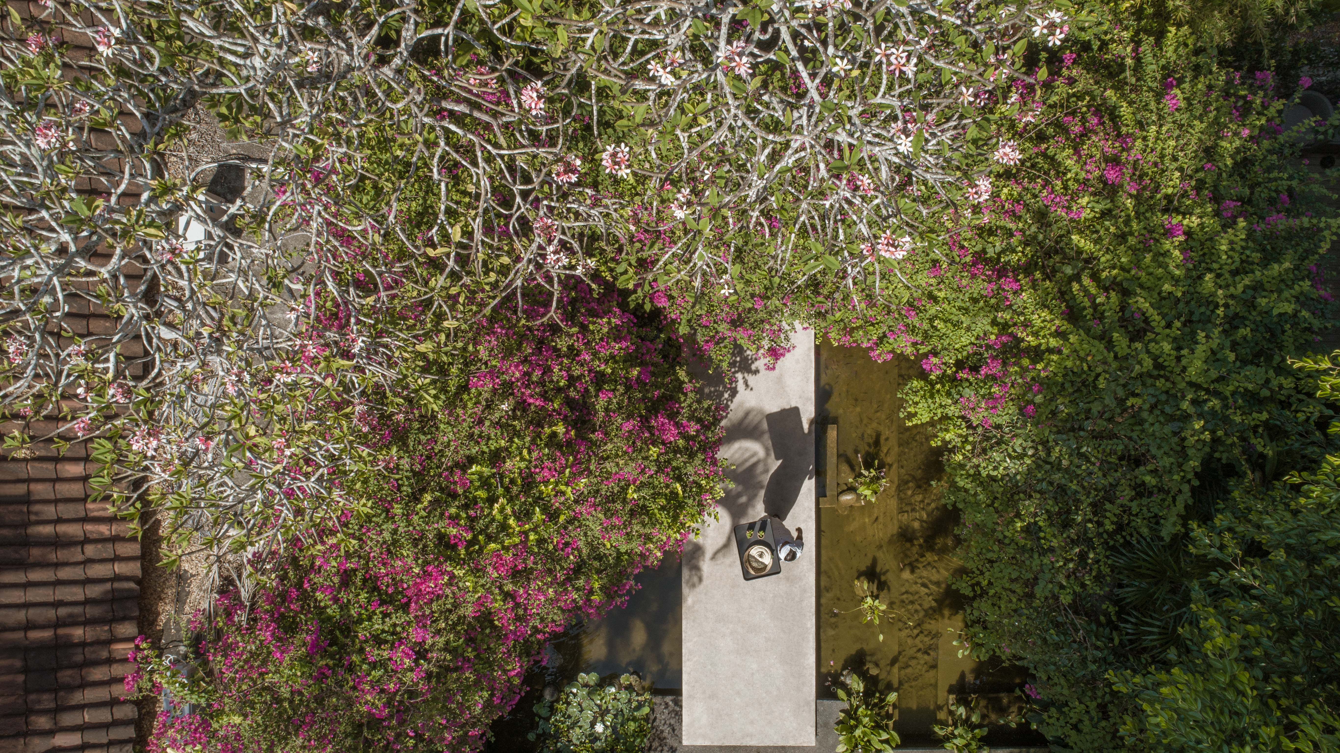 The Pavilions Bali - photo