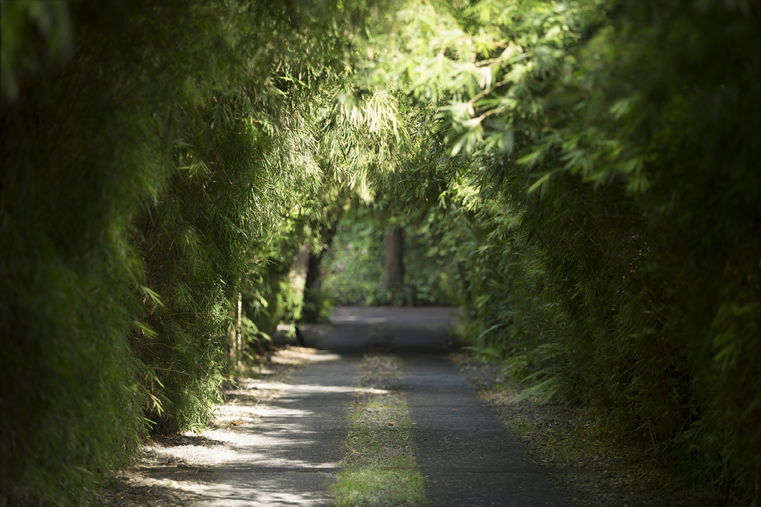 The Pavilions Bali - photo