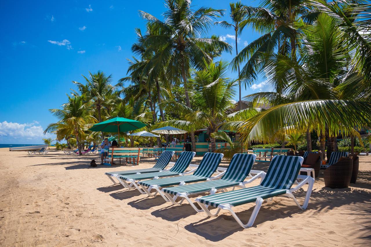Hotel Playa Colibri by null