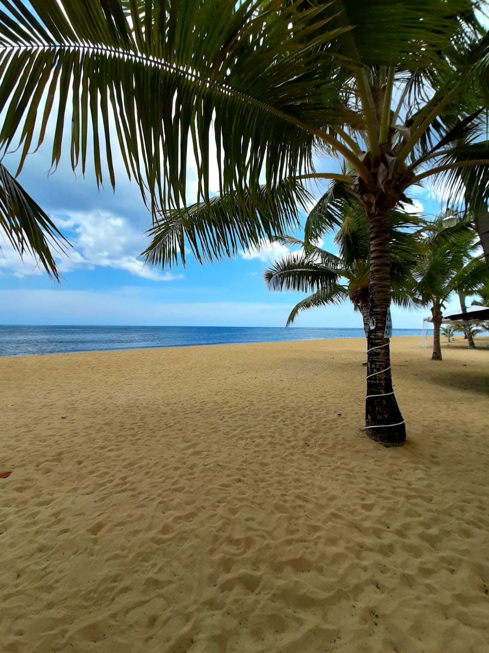 Hotel Playa Colibri by null