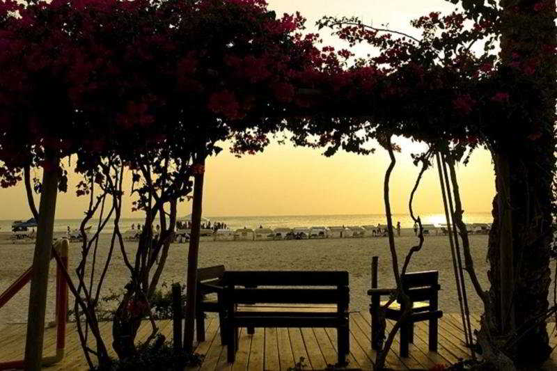 Paradise Coche