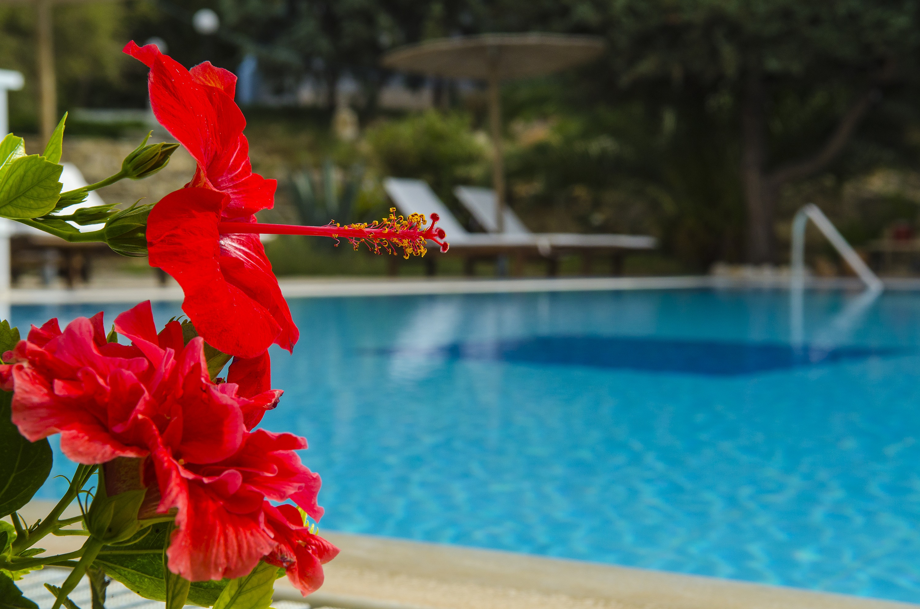 The Small Village - attēls