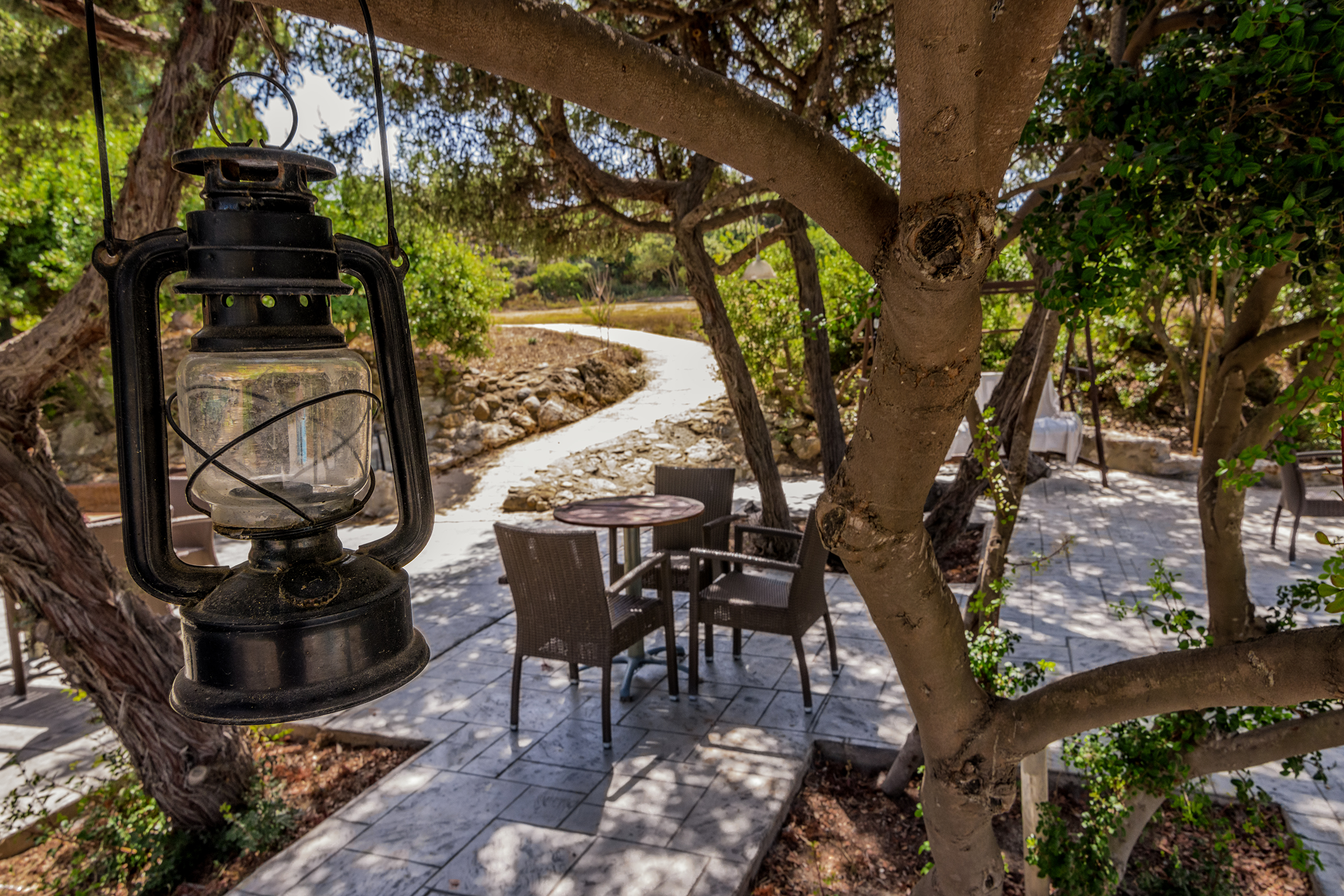 The Small Village - attēls