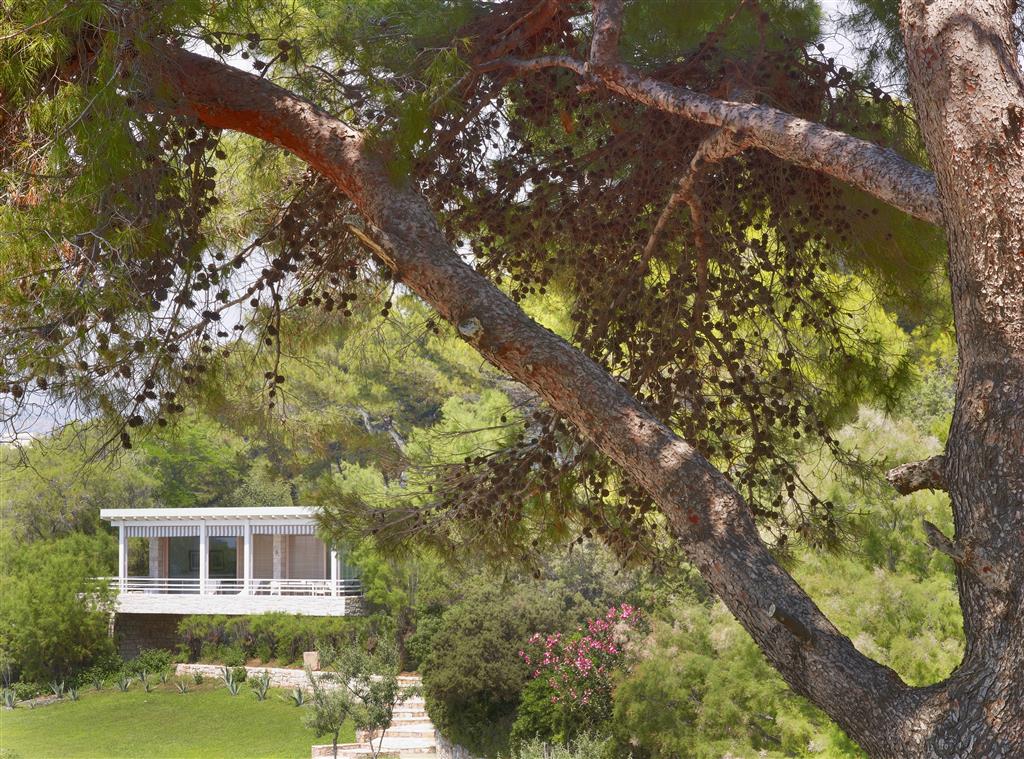 Four Seasons Astir Palace - nuotrauka