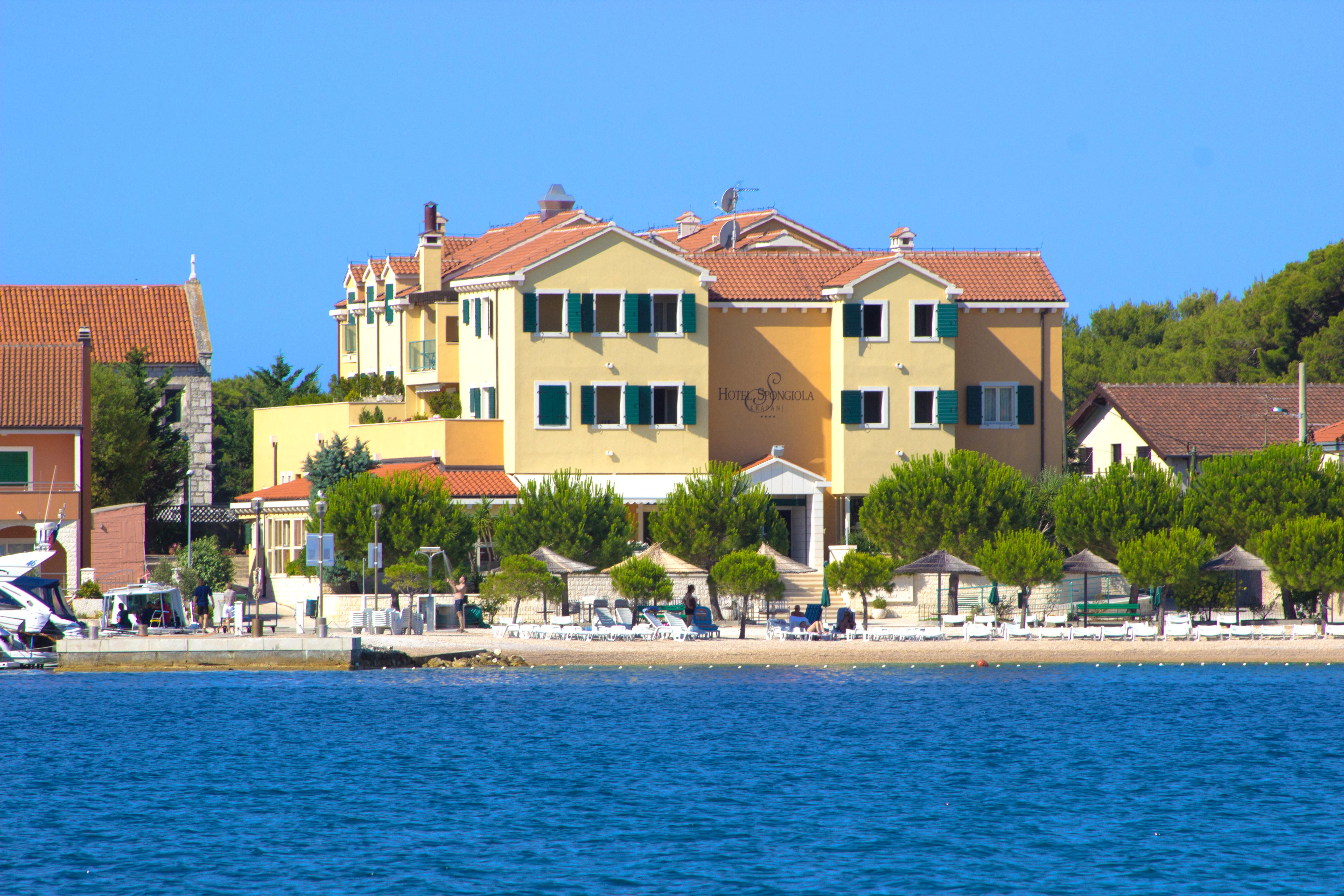 Spongiola - фото