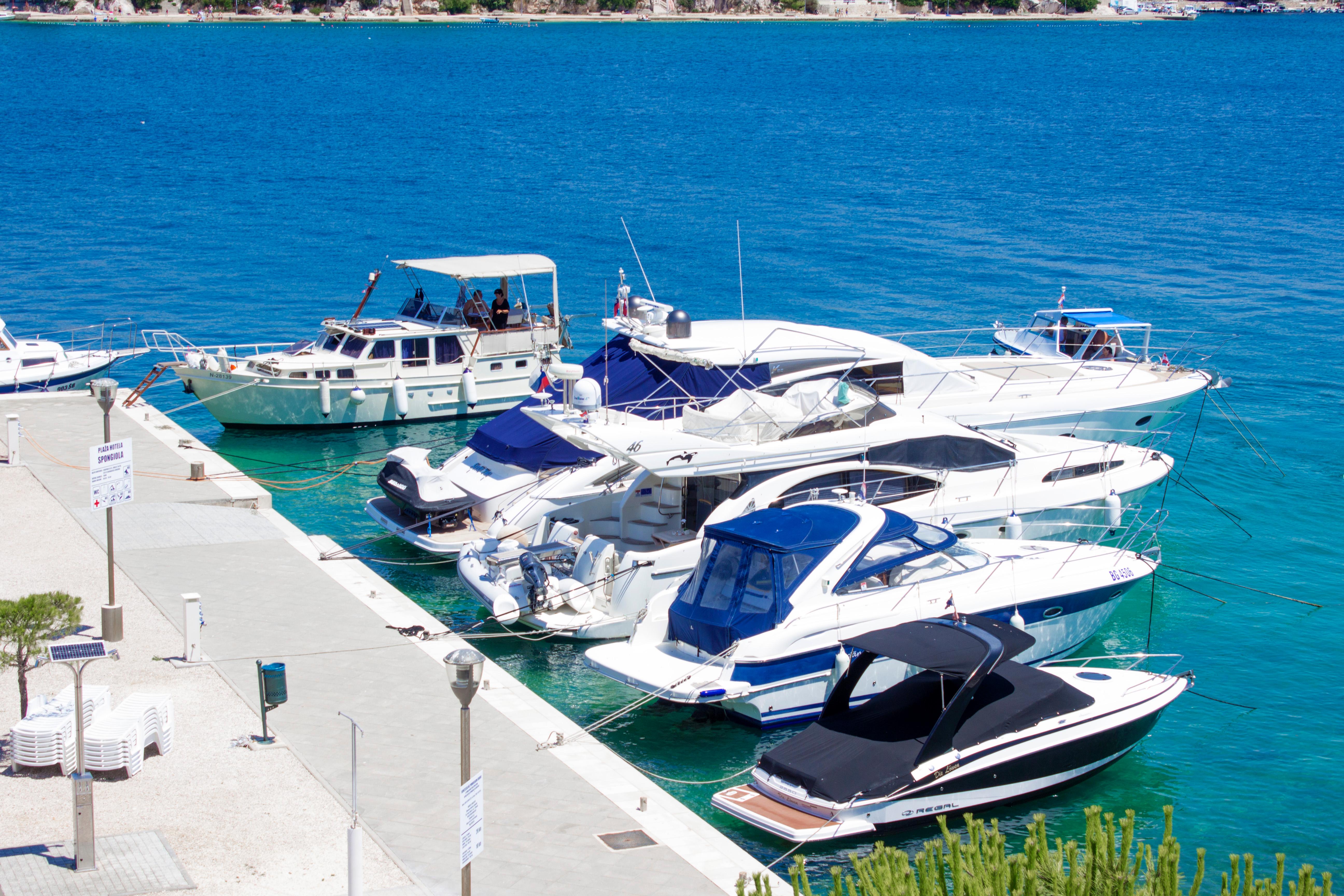 Spongiola - фото