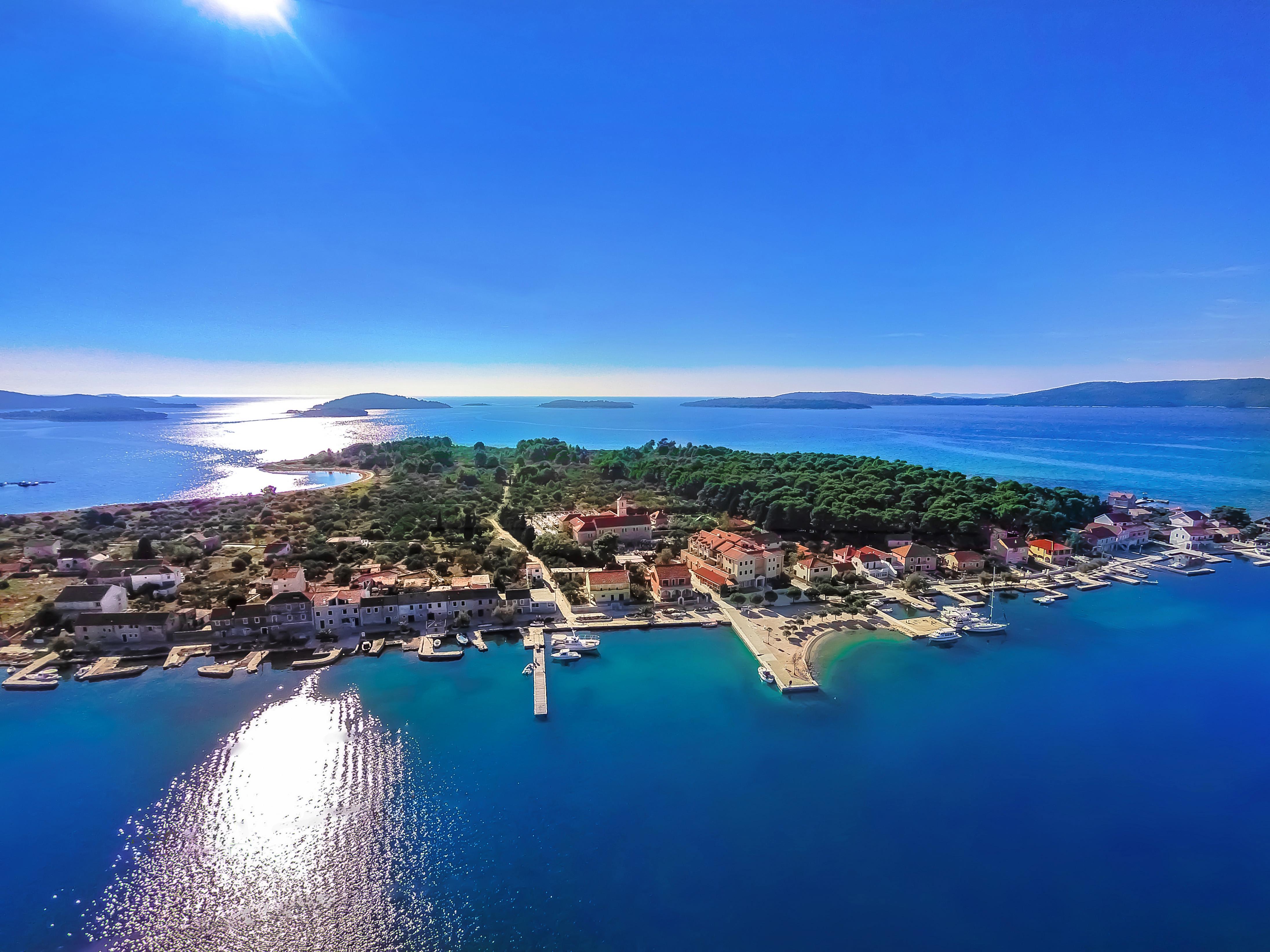 Spongiola - фото