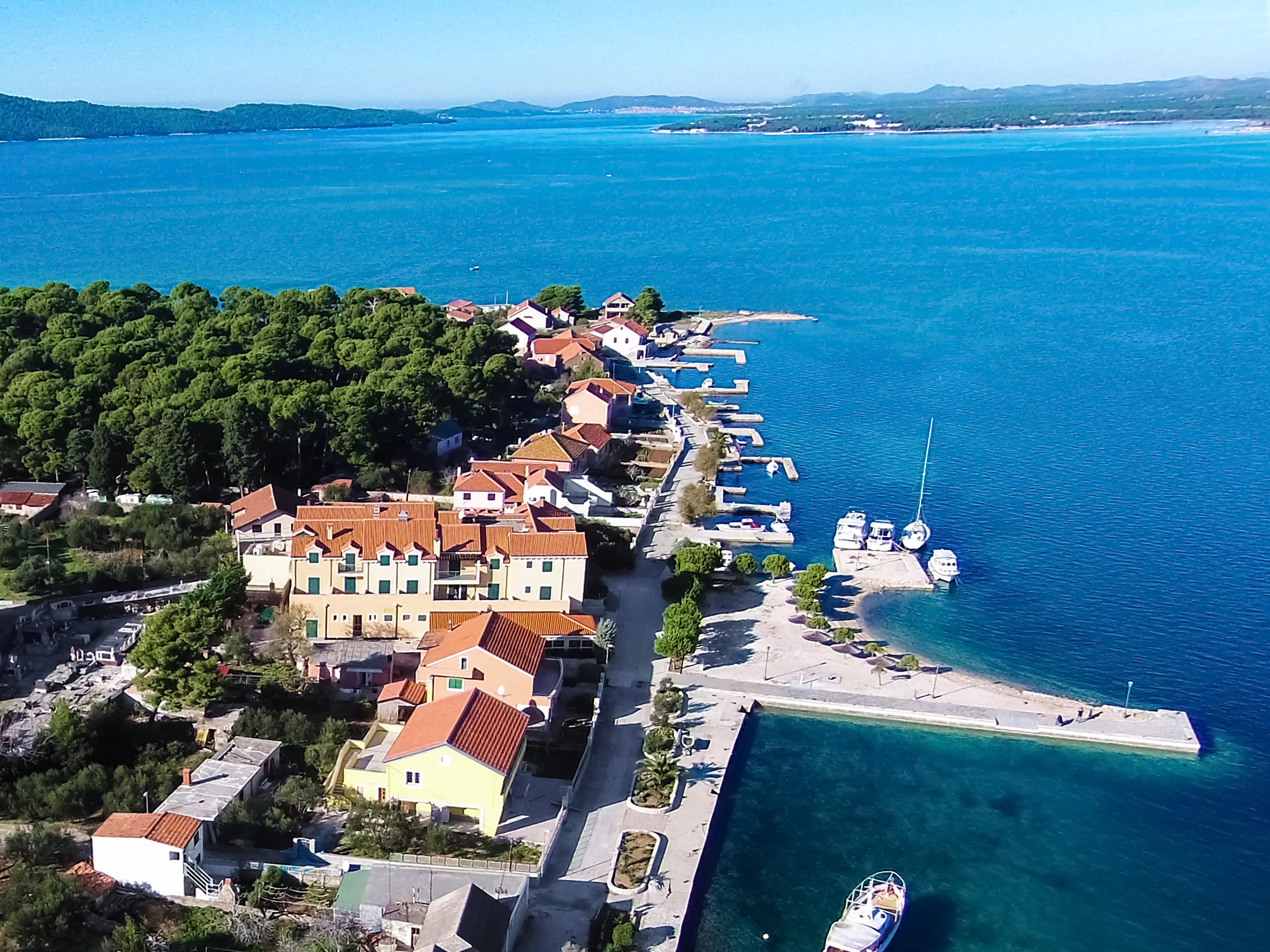 Spongiola - фото