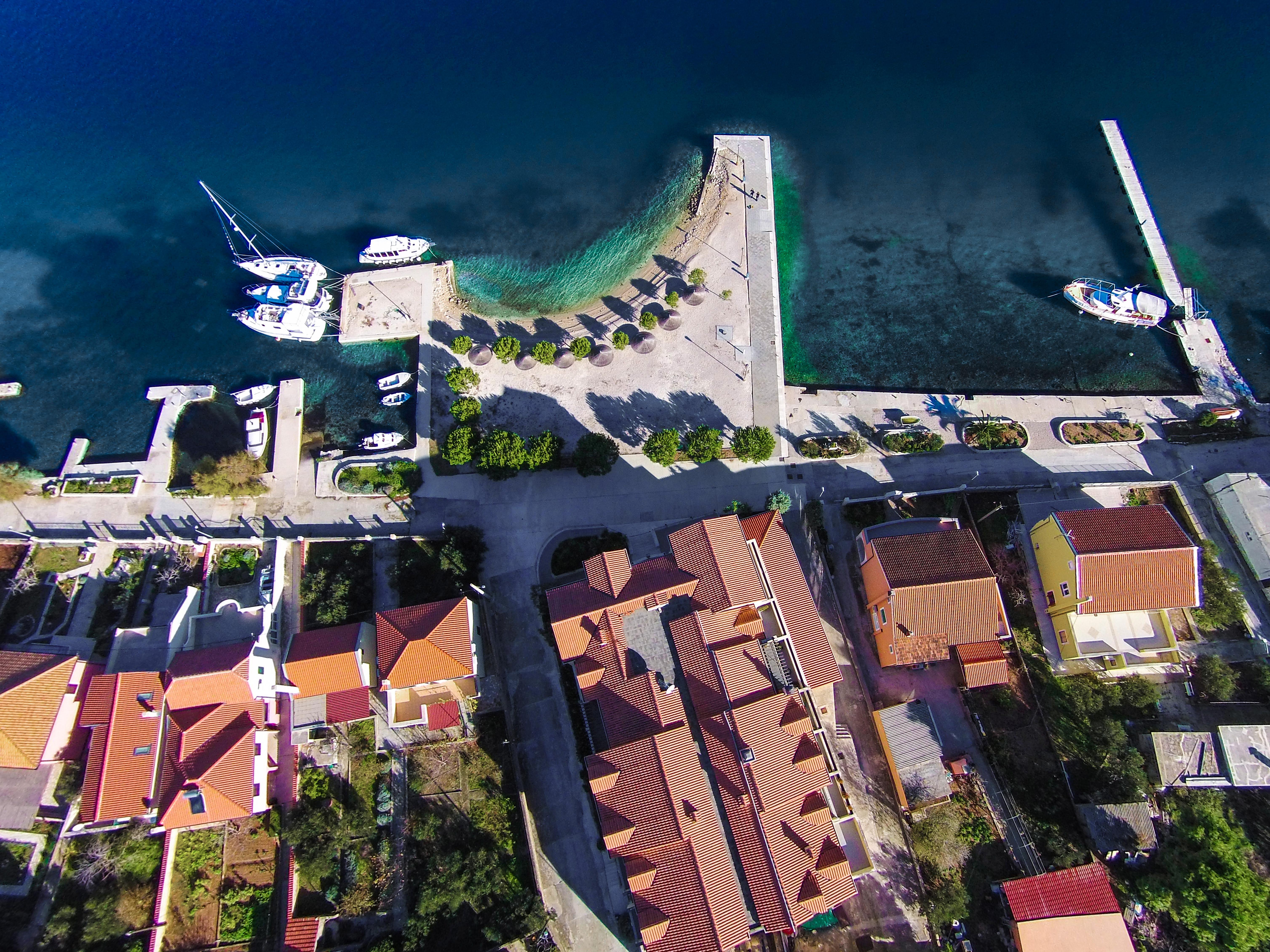 Spongiola - фото